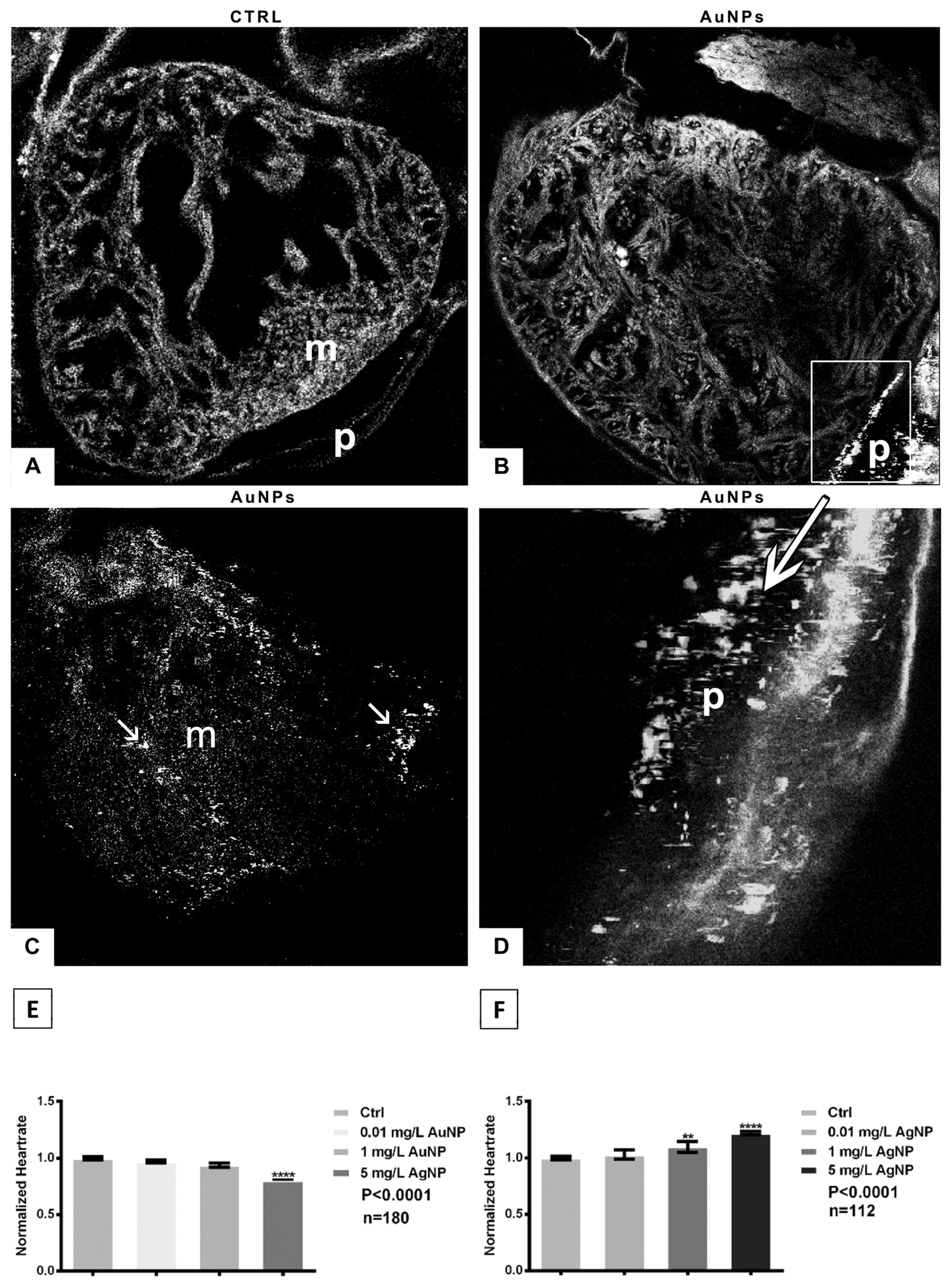 Nanomaterials 13 02488 g005 Nanomaterials 13 02488 g005