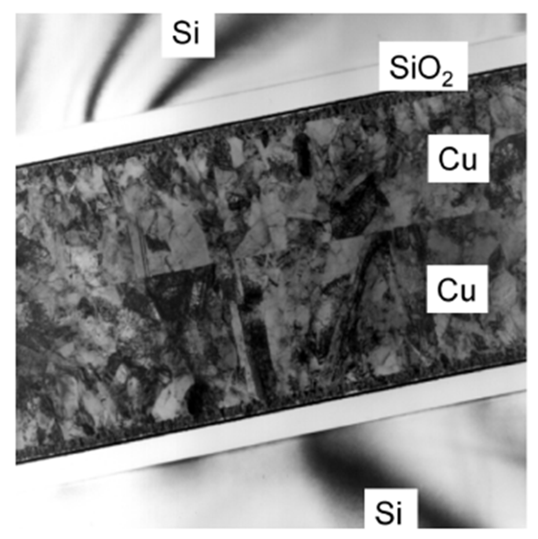 Nanomaterials 13 02490 g003