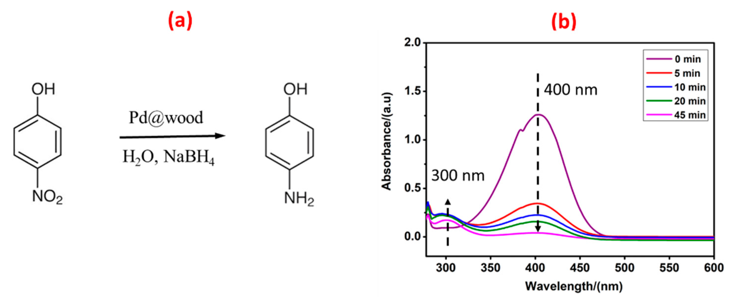 Nanomaterials 13 02491 g003