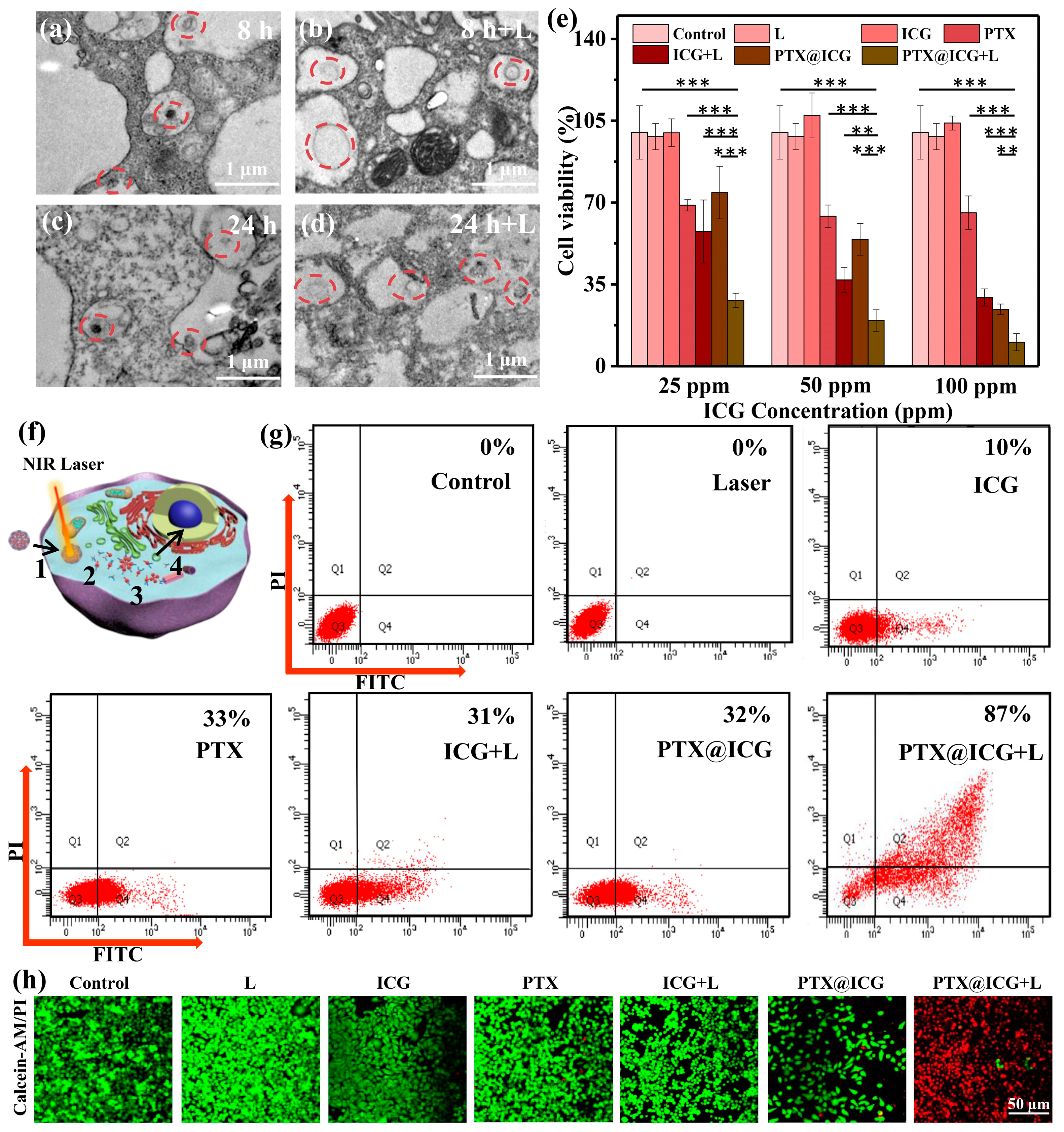 Nanomaterials 13 02499 g003