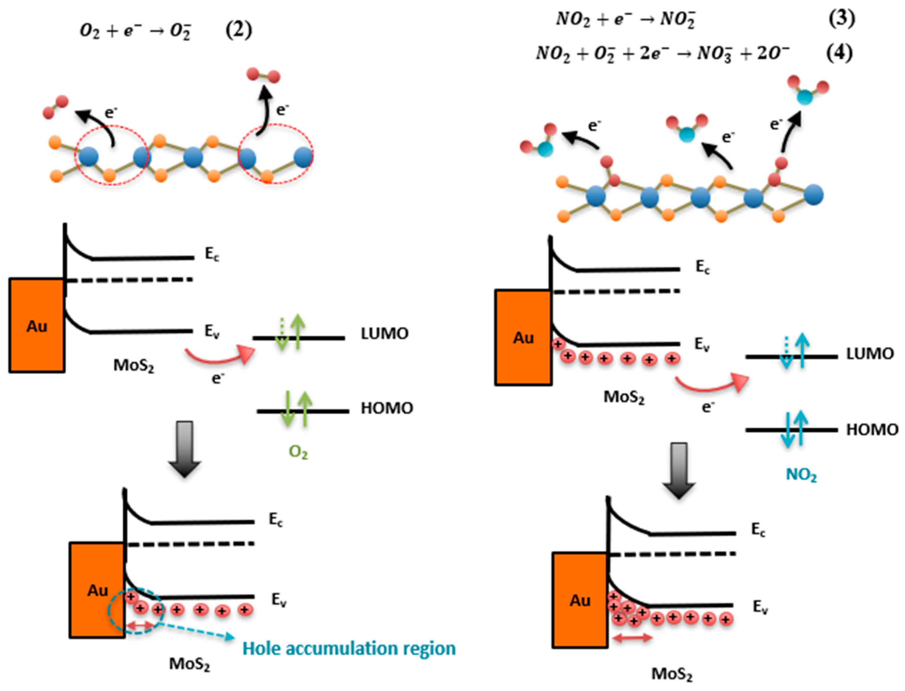 Nanomaterials 13 02502 g013