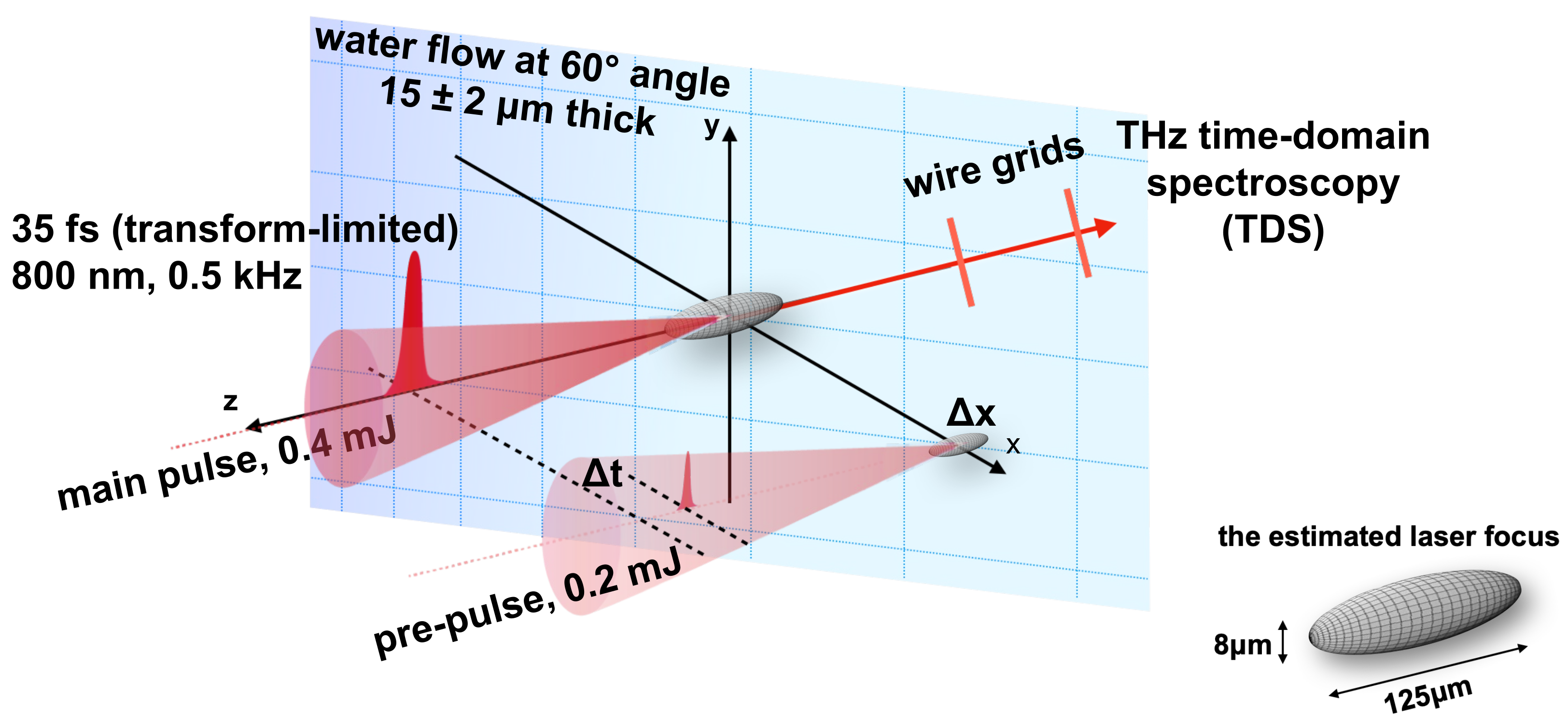 Mechanism of Single-Cycle THz Pulse Generation and X-ray Emission 