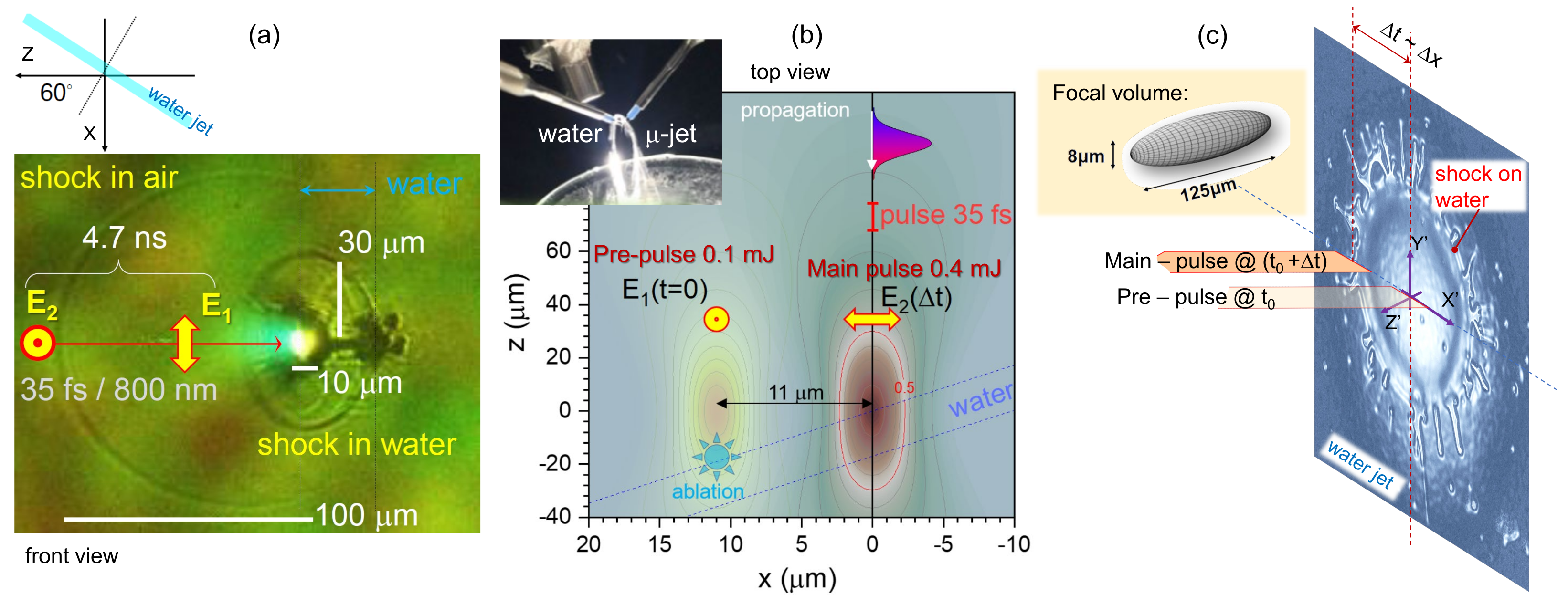 Nanomaterials 13 02505 g002