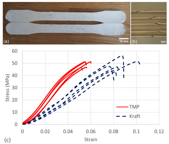 Tmp Pulp The Effect of Cellulose Nanofibres on Dewatering during Wet-Forming and ...