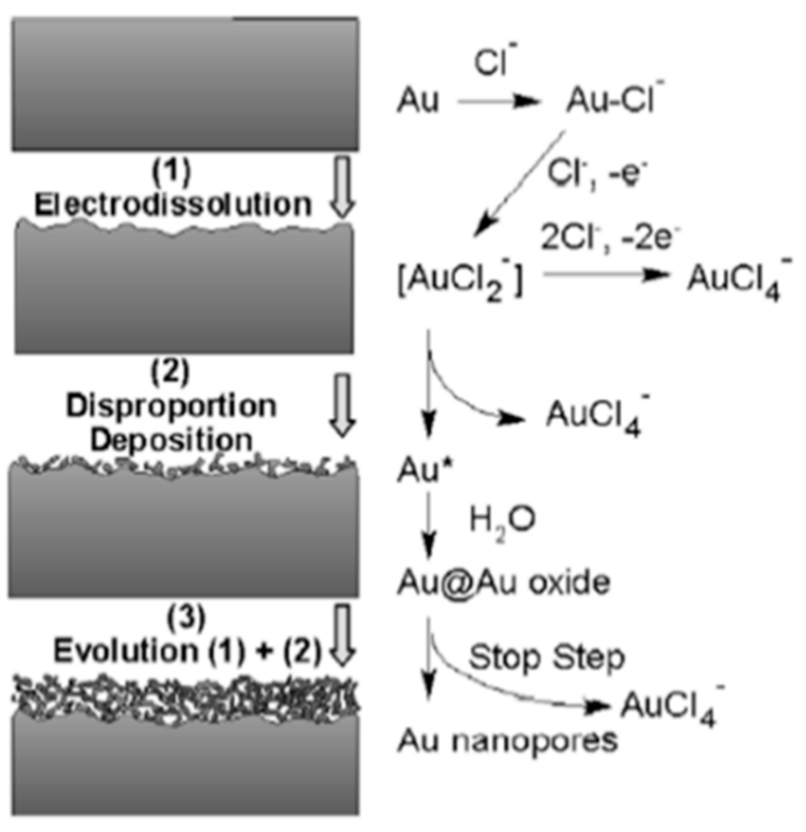 Nanomaterials 13 02515 g003