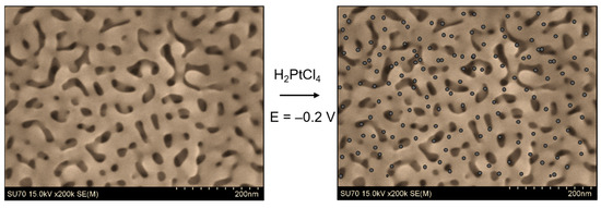 Metallic R Npg Recent Advances in Bimetallic Nanoporous Gold Electrodes for ...