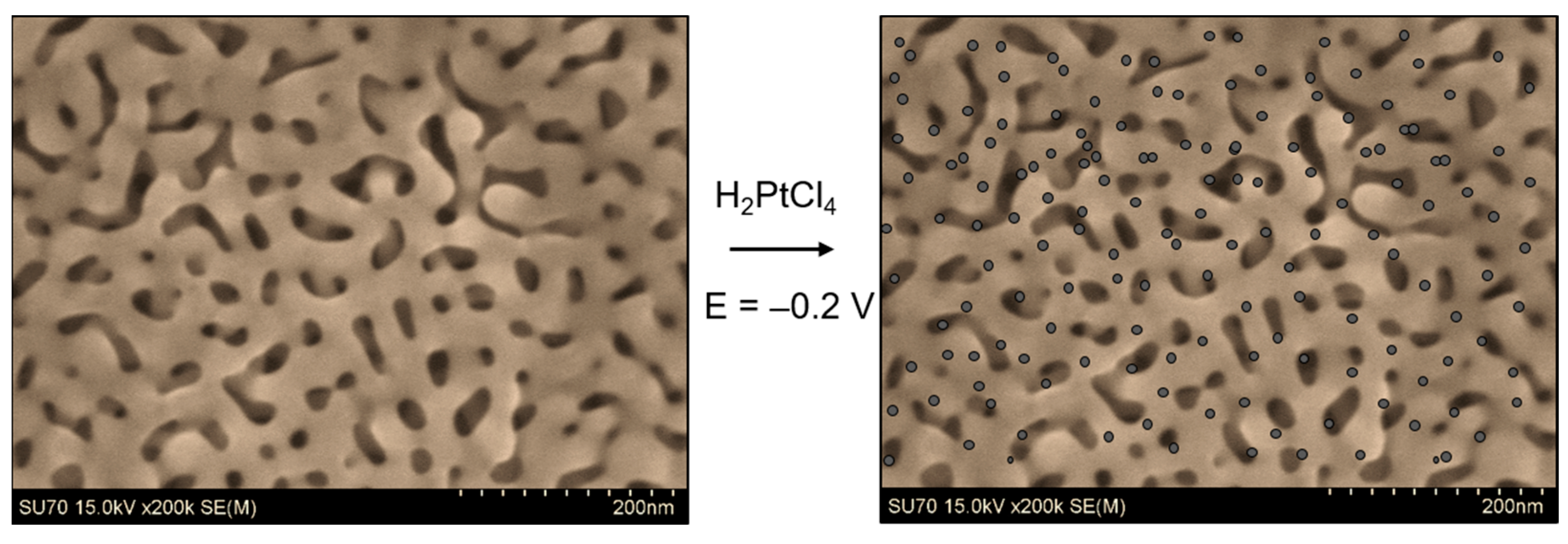 Nanomaterials 13 02515 g004