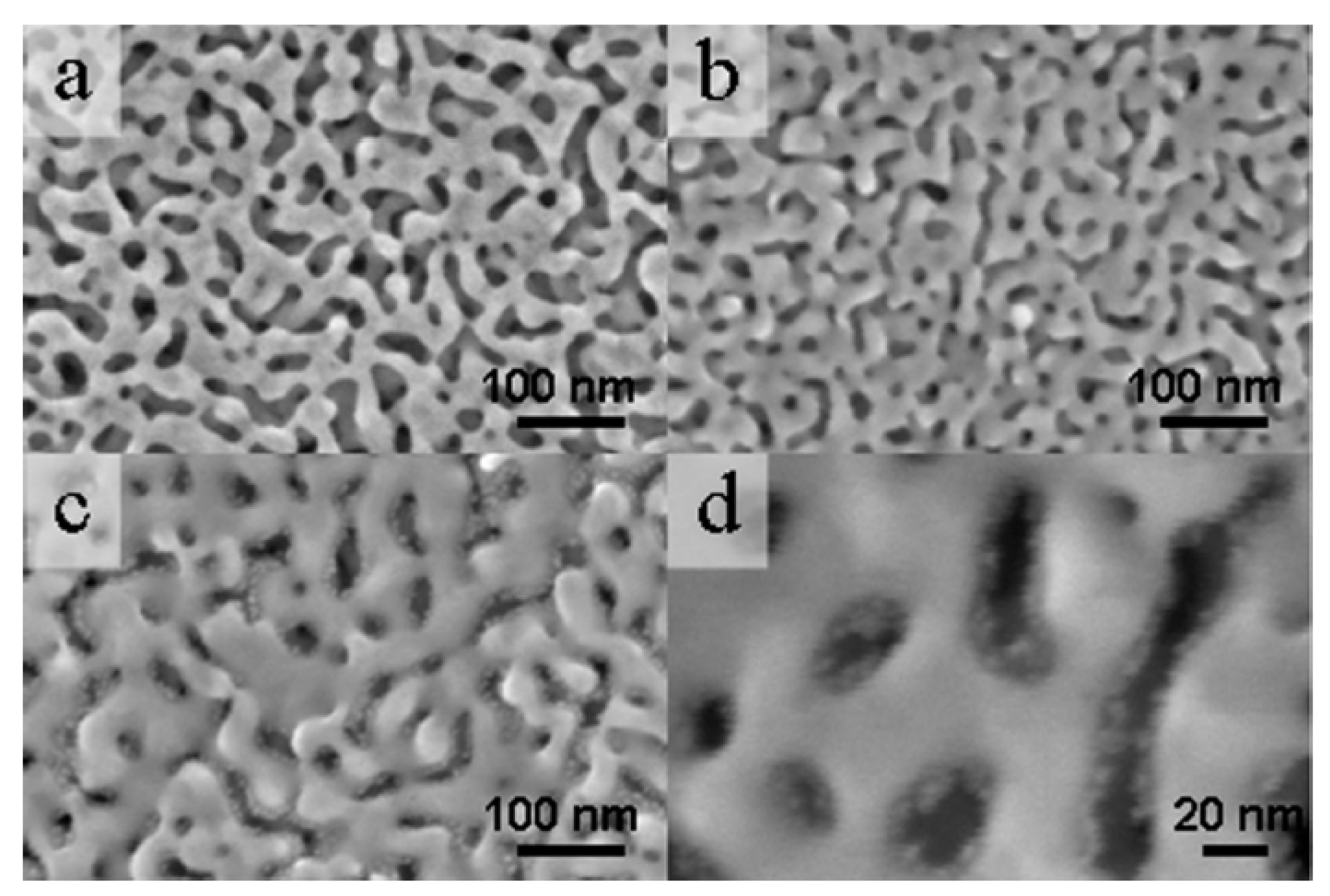 Nanomaterials 13 02515 g009