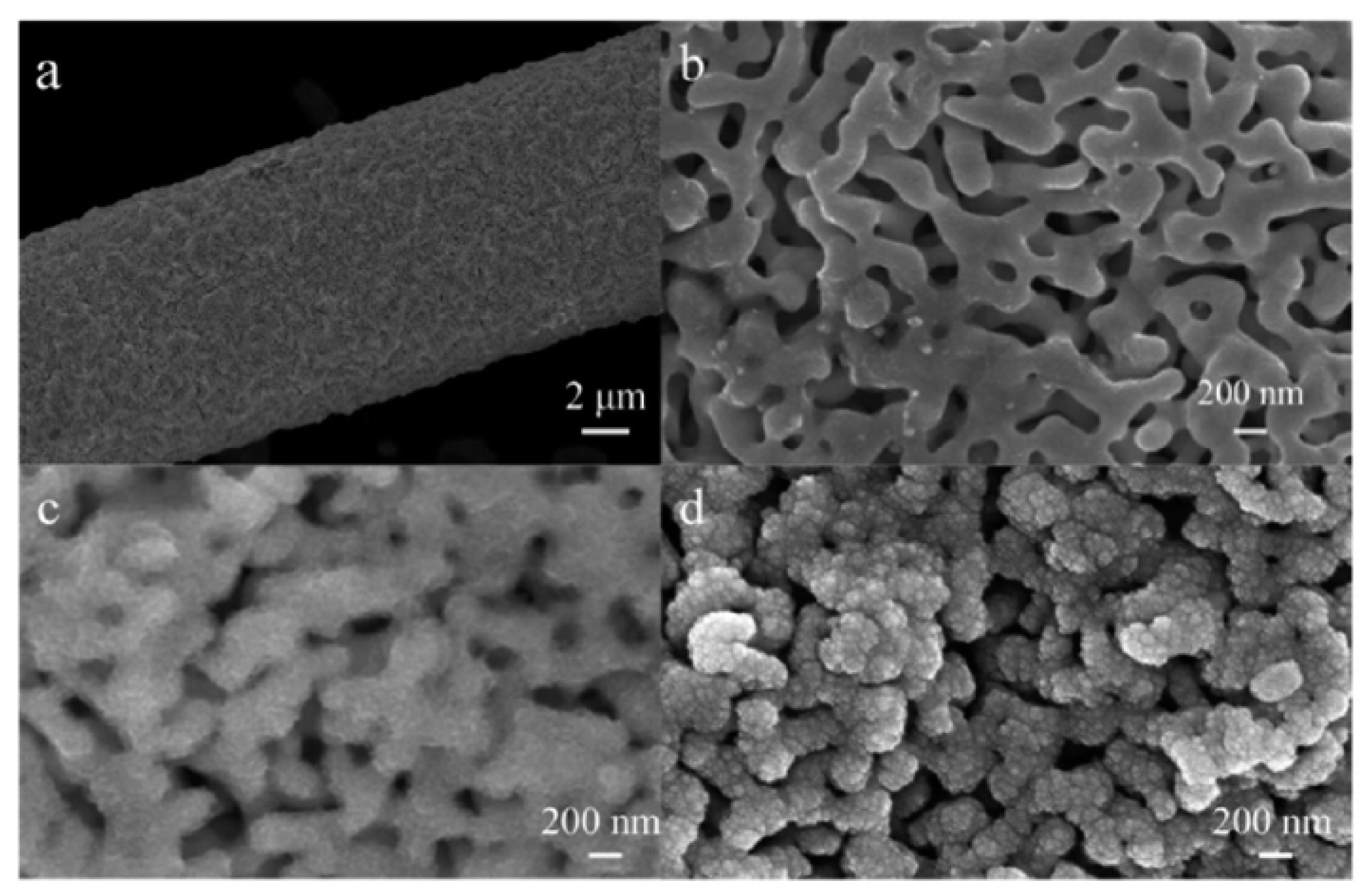 Nanomaterials 13 02515 g010