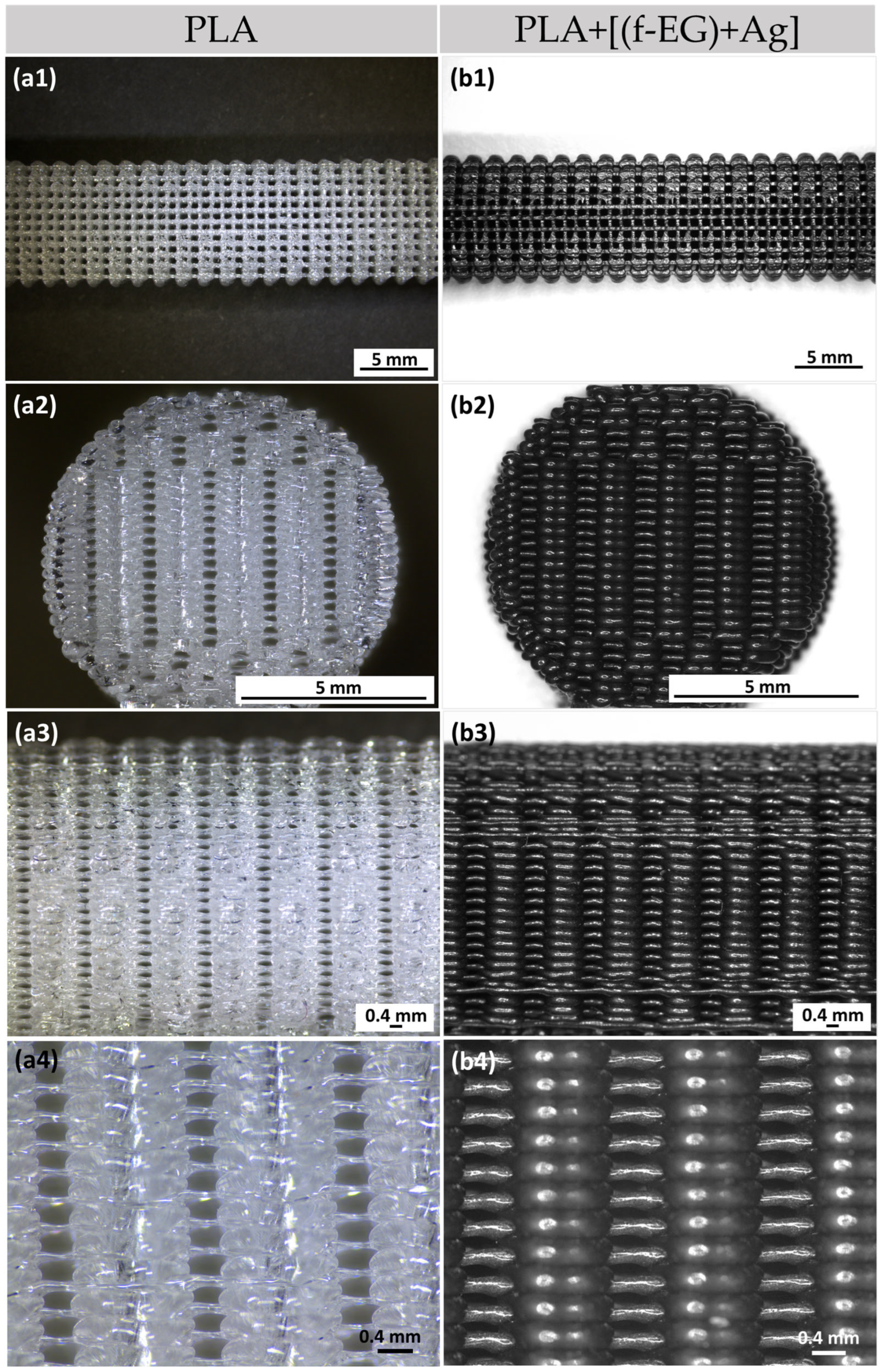 Nanomaterials 13 02518 g002 Nanomaterials 13 02518 g002