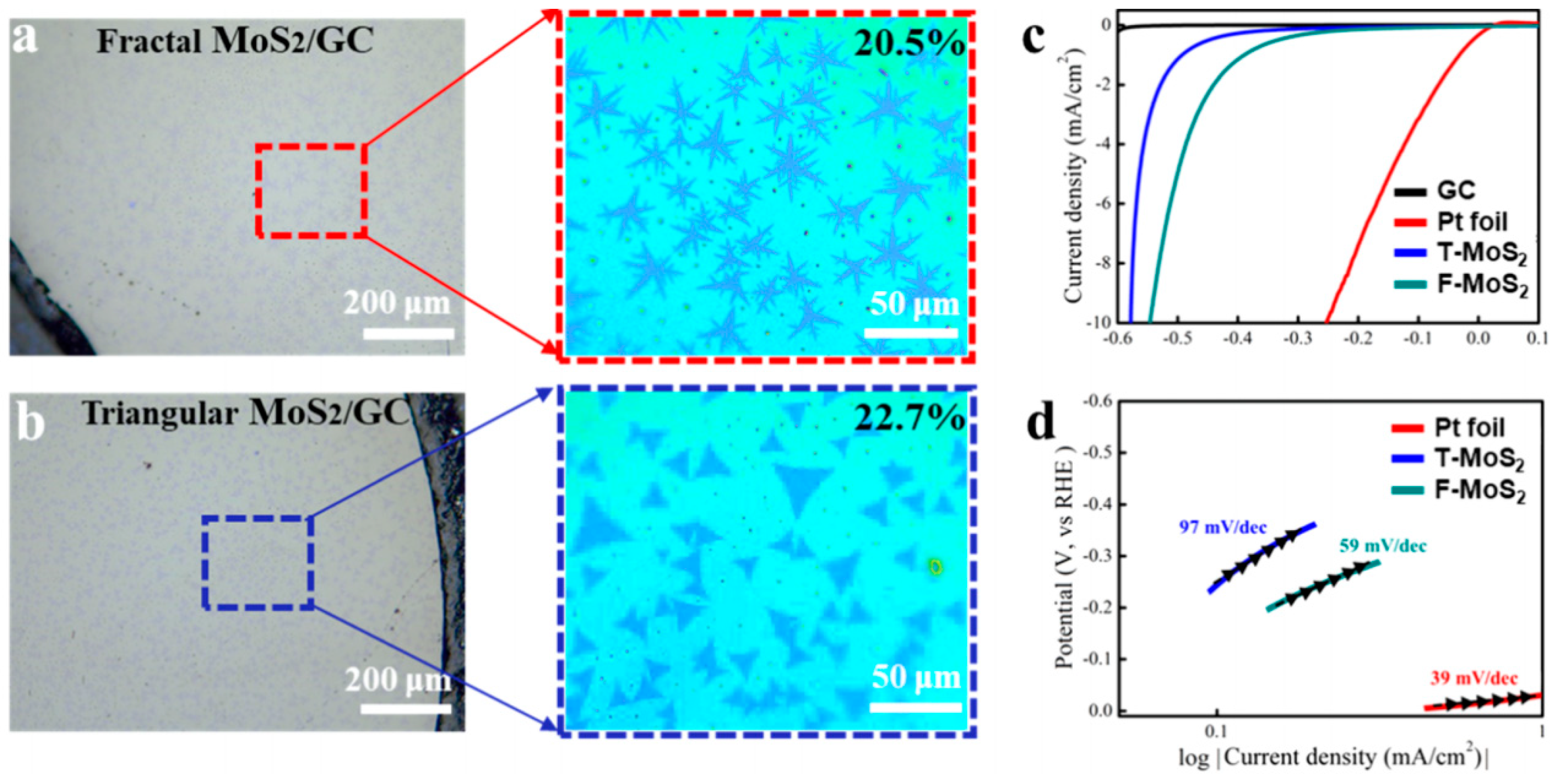 Nanomaterials 13 02522 g002
