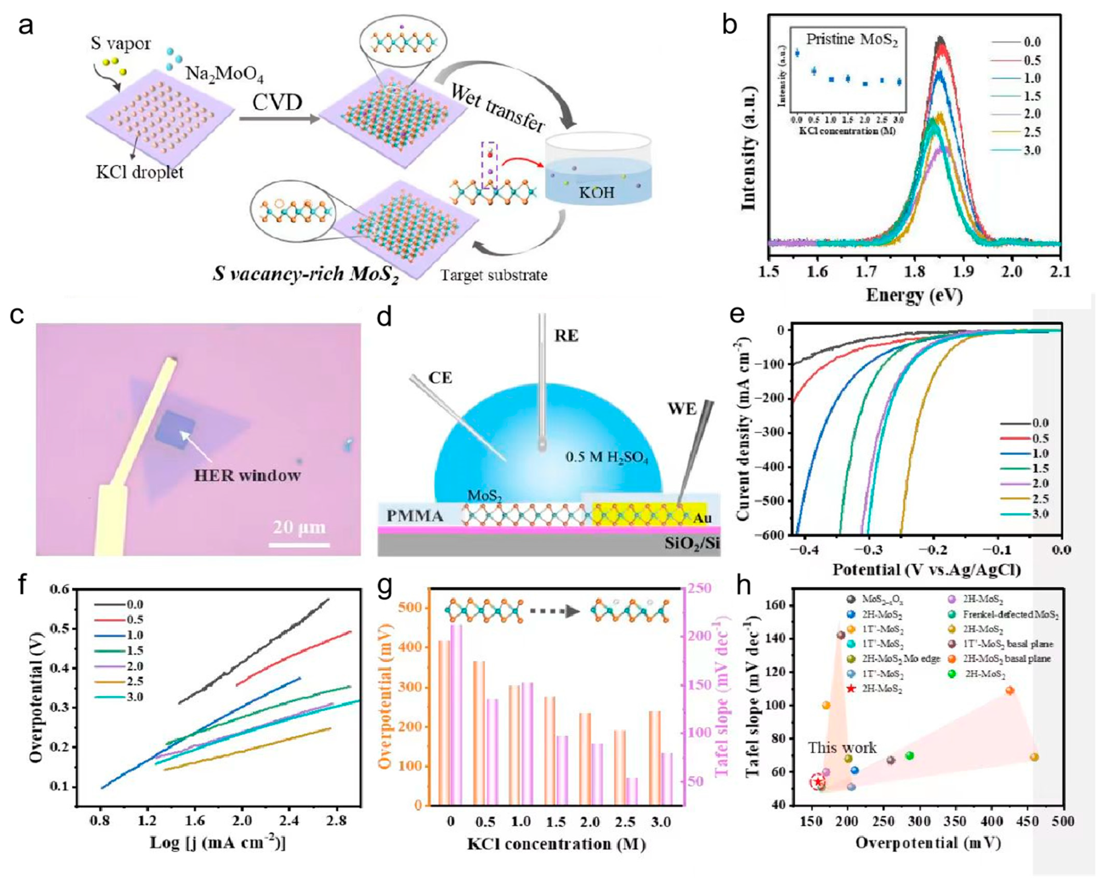 Nanomaterials 13 02522 g003
