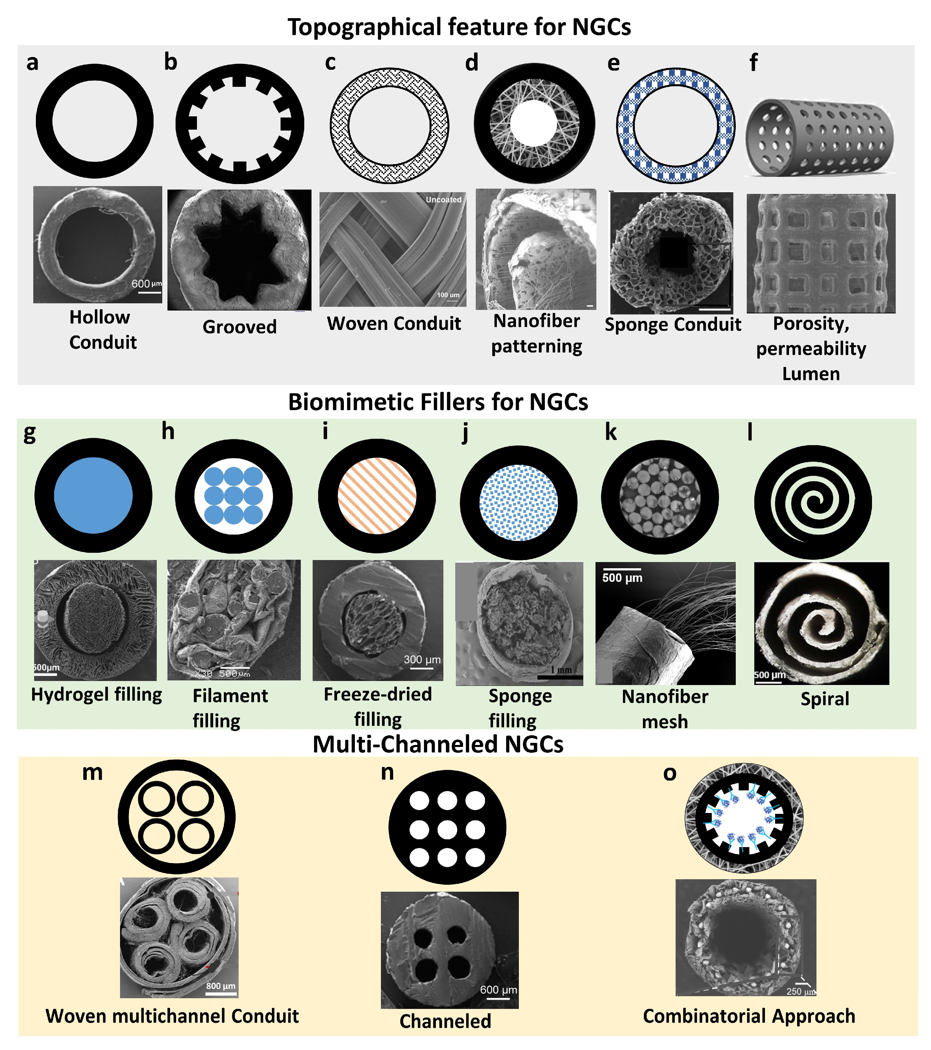Nanomaterials 13 02528 g005