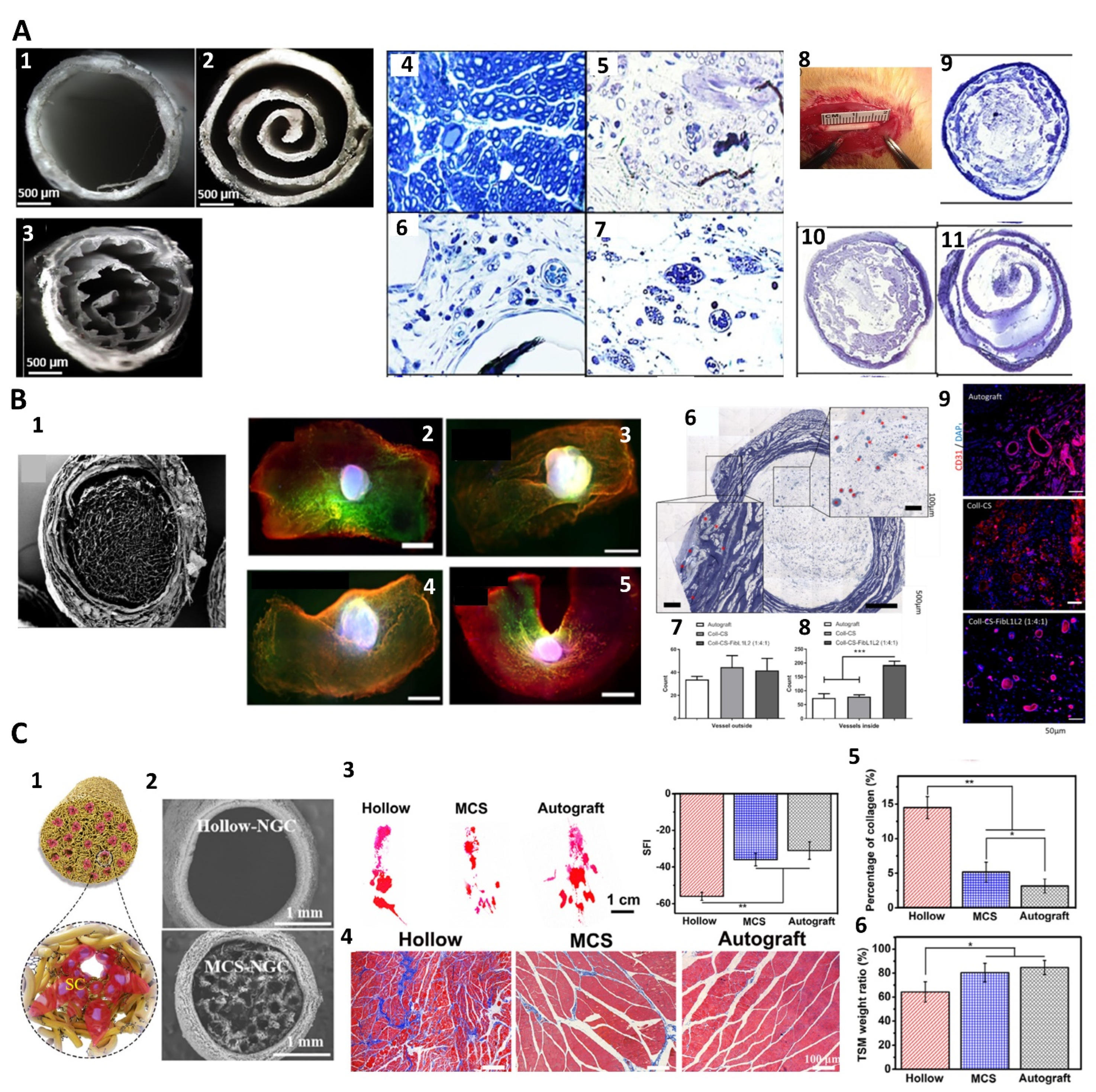 Nanomaterials 13 02528 g006