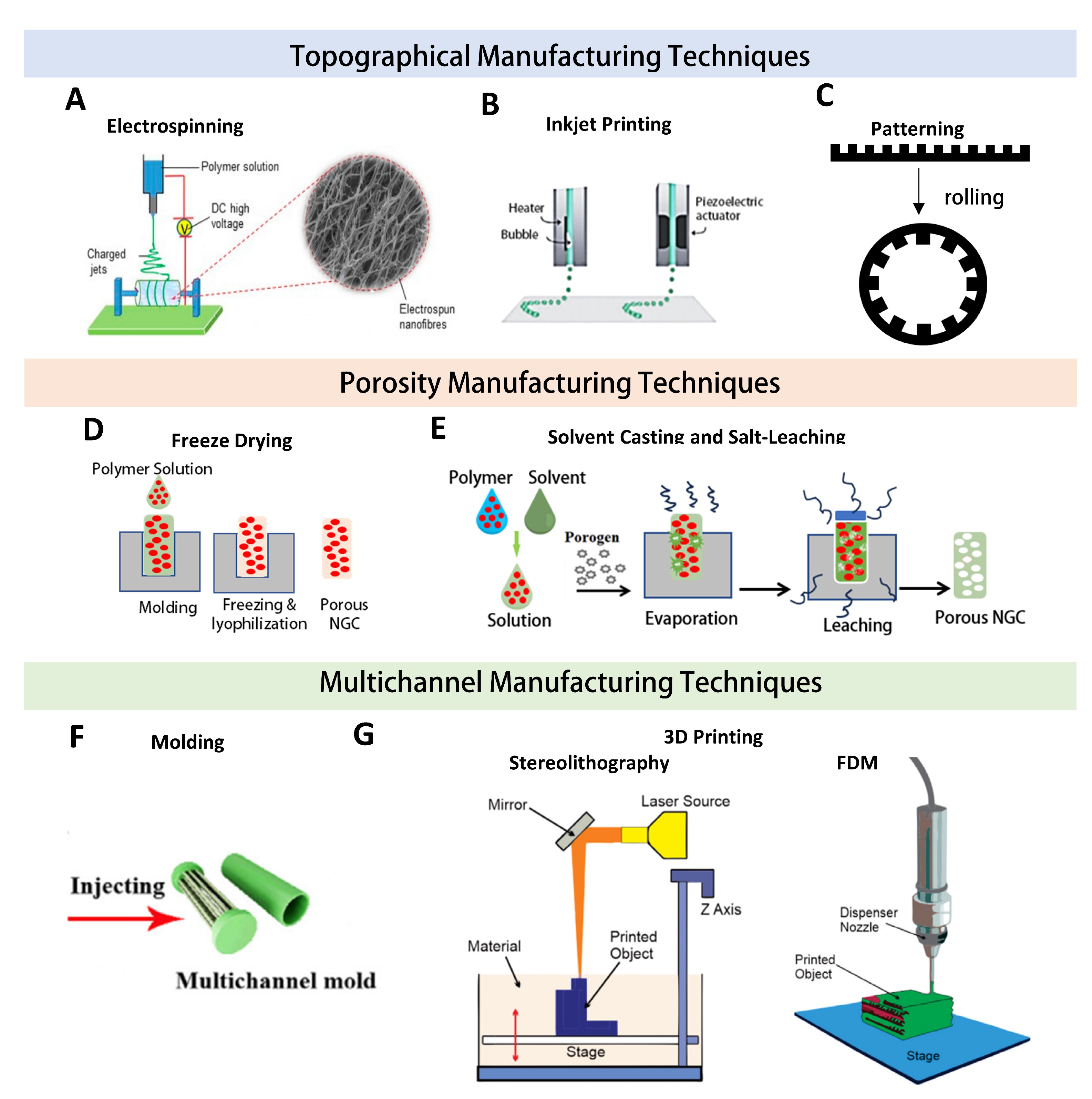 Nanomaterials 13 02528 g007