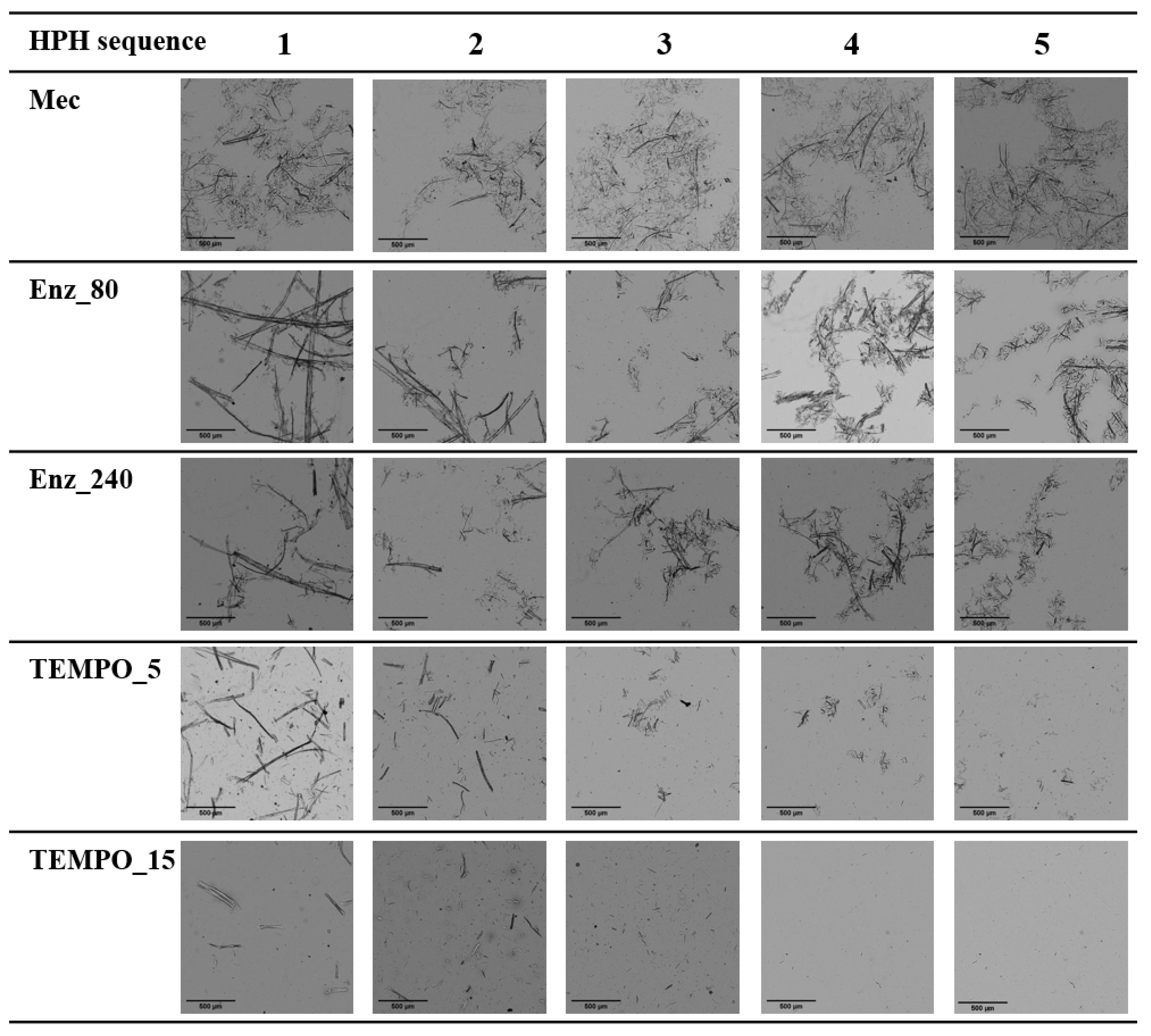 Nanomaterials 13 02536 g003