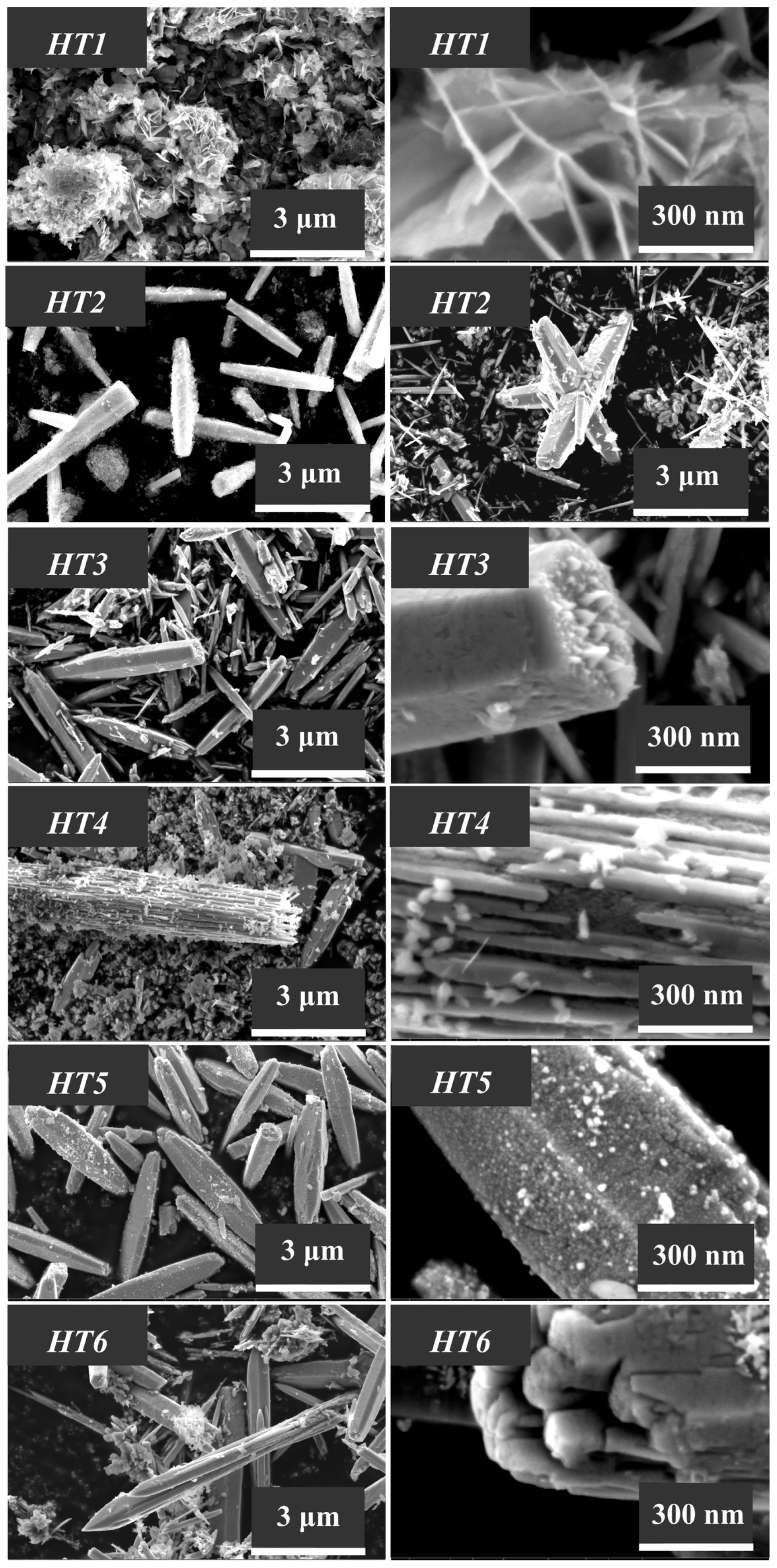 Nanomaterials 13 02537 g008