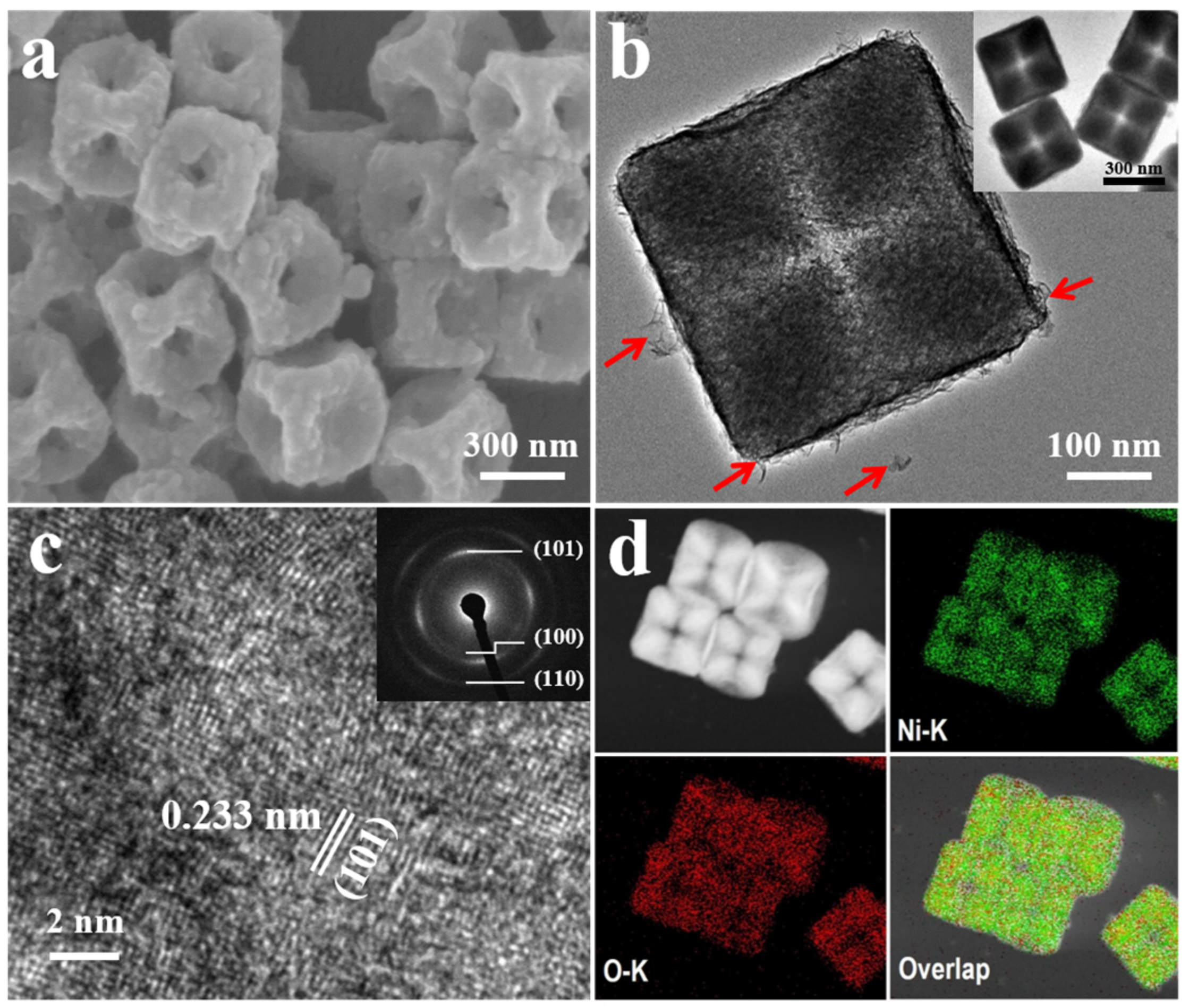 Nanomaterials 13 02538 g002