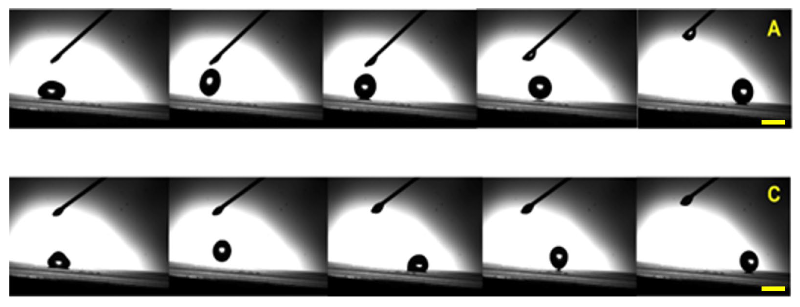 Nanomaterials 13 02541 g003