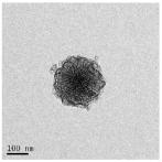 Nanomaterials 13 02543 i003