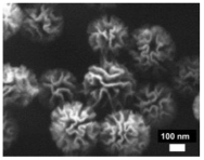 Nanomaterials 13 02543 i004