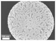 Nanomaterials 13 02543 i006