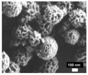 Nanomaterials 13 02543 i010