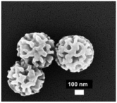 Nanomaterials 13 02543 i012