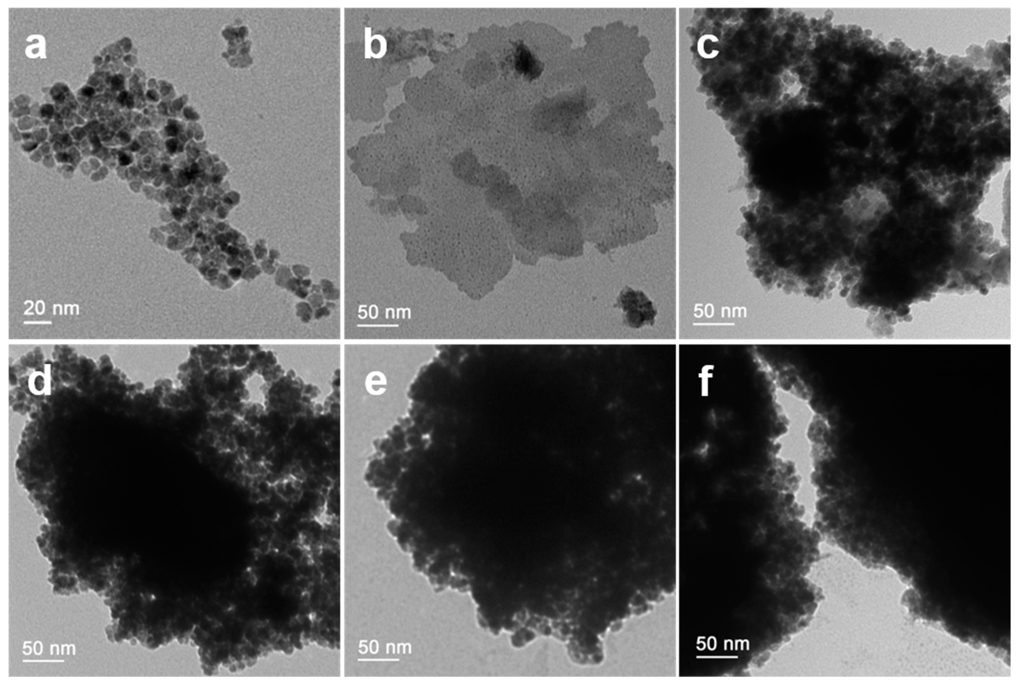 Nanomaterials 13 02545 g003