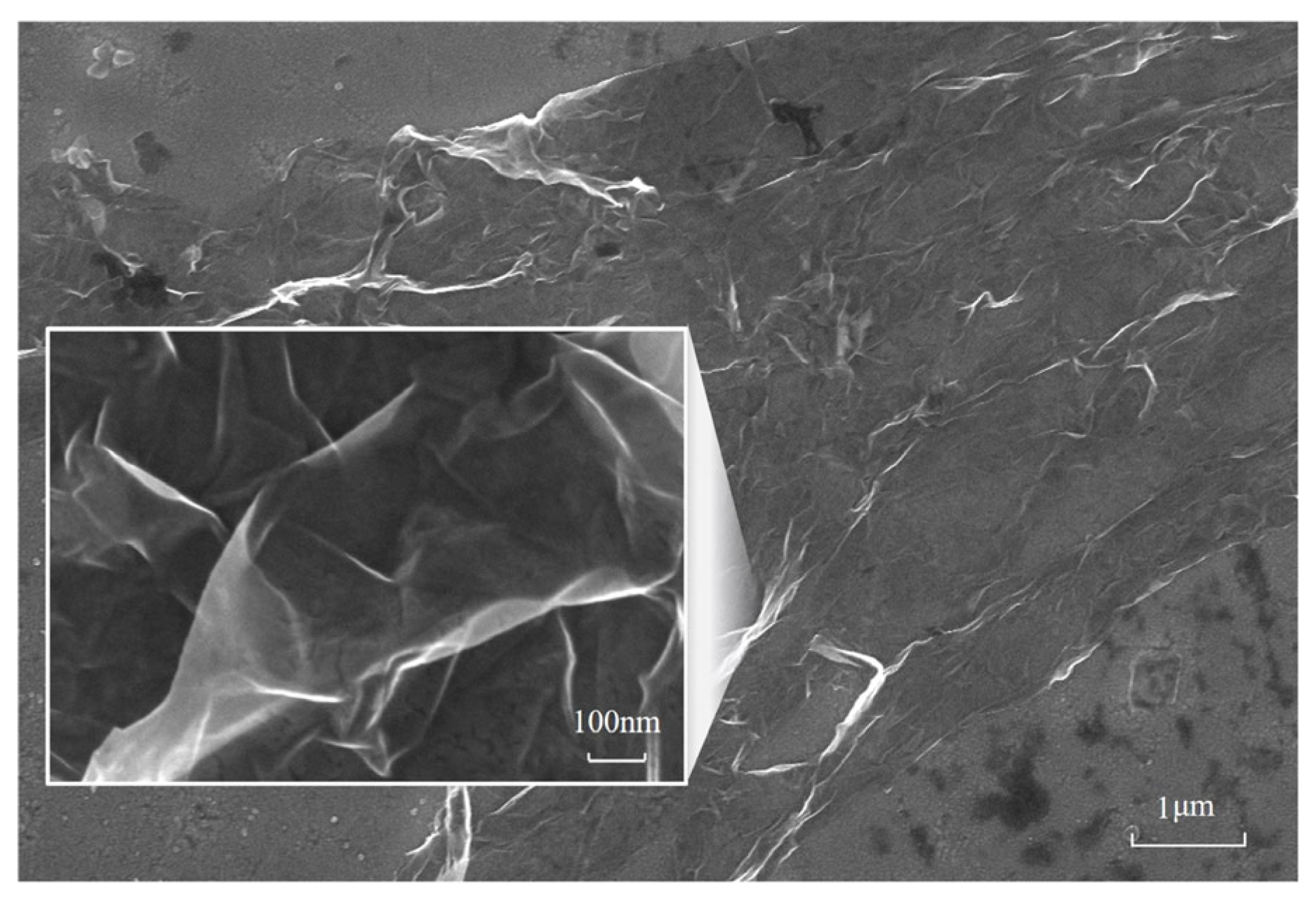 Nanomaterials 13 02550 g004