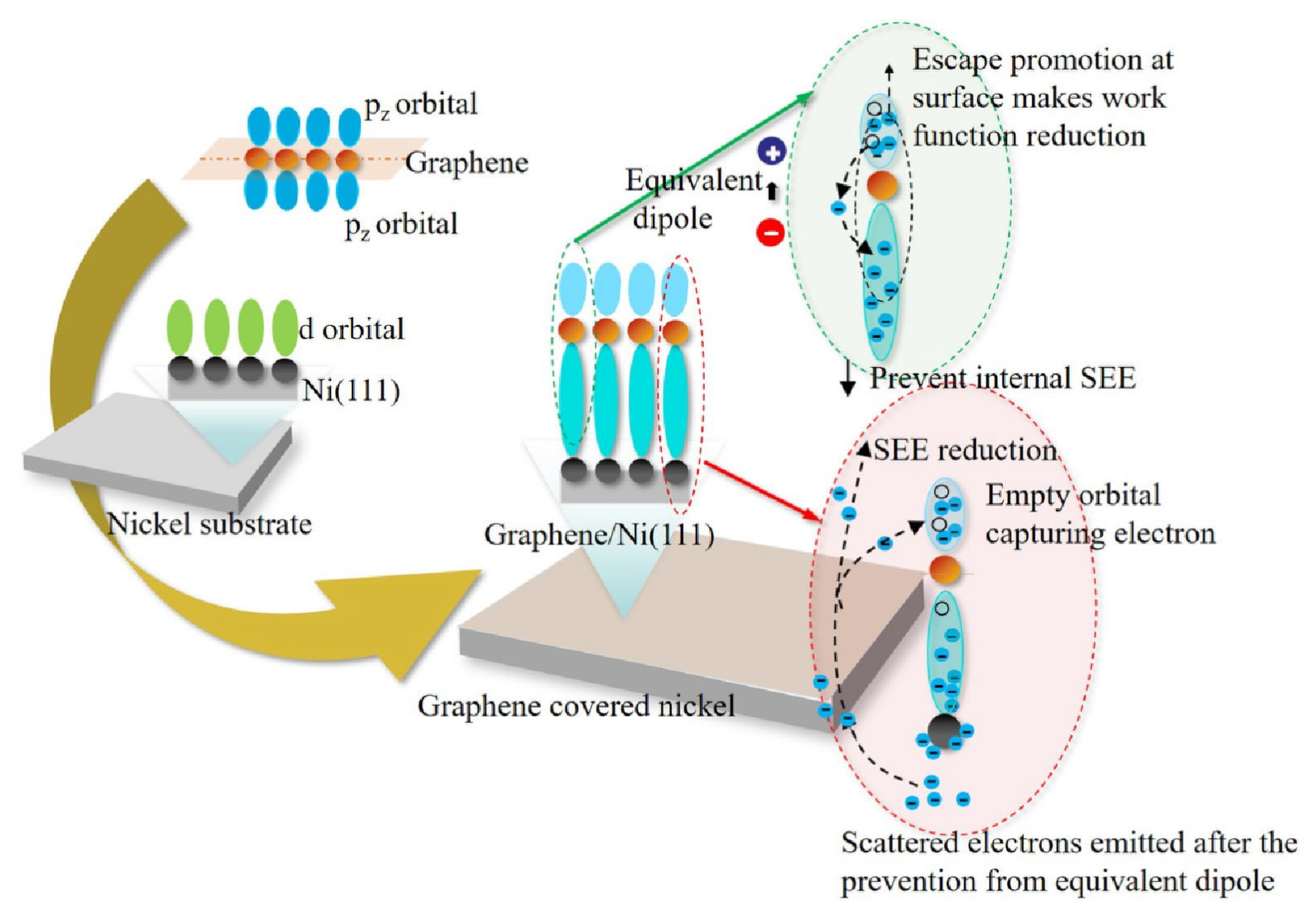 Nanomaterials 13 02550 g011