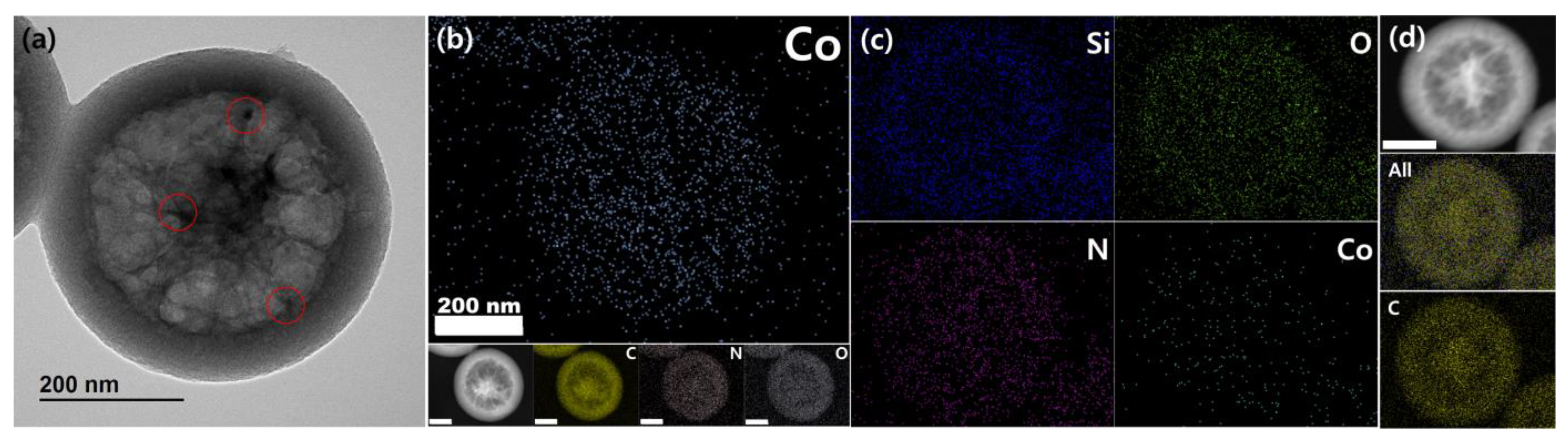Nanomaterials 13 02555 g004