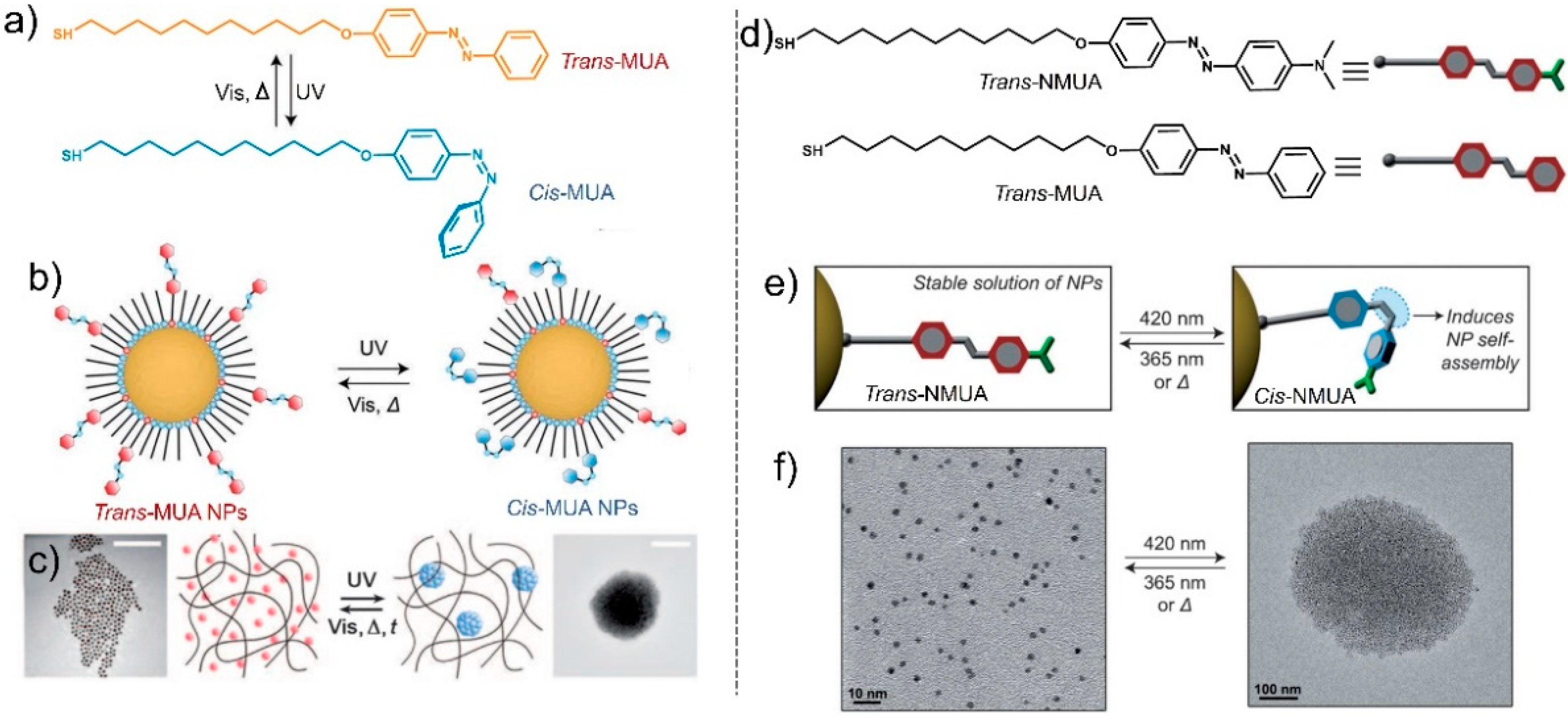 Nanomaterials 13 02562 g002