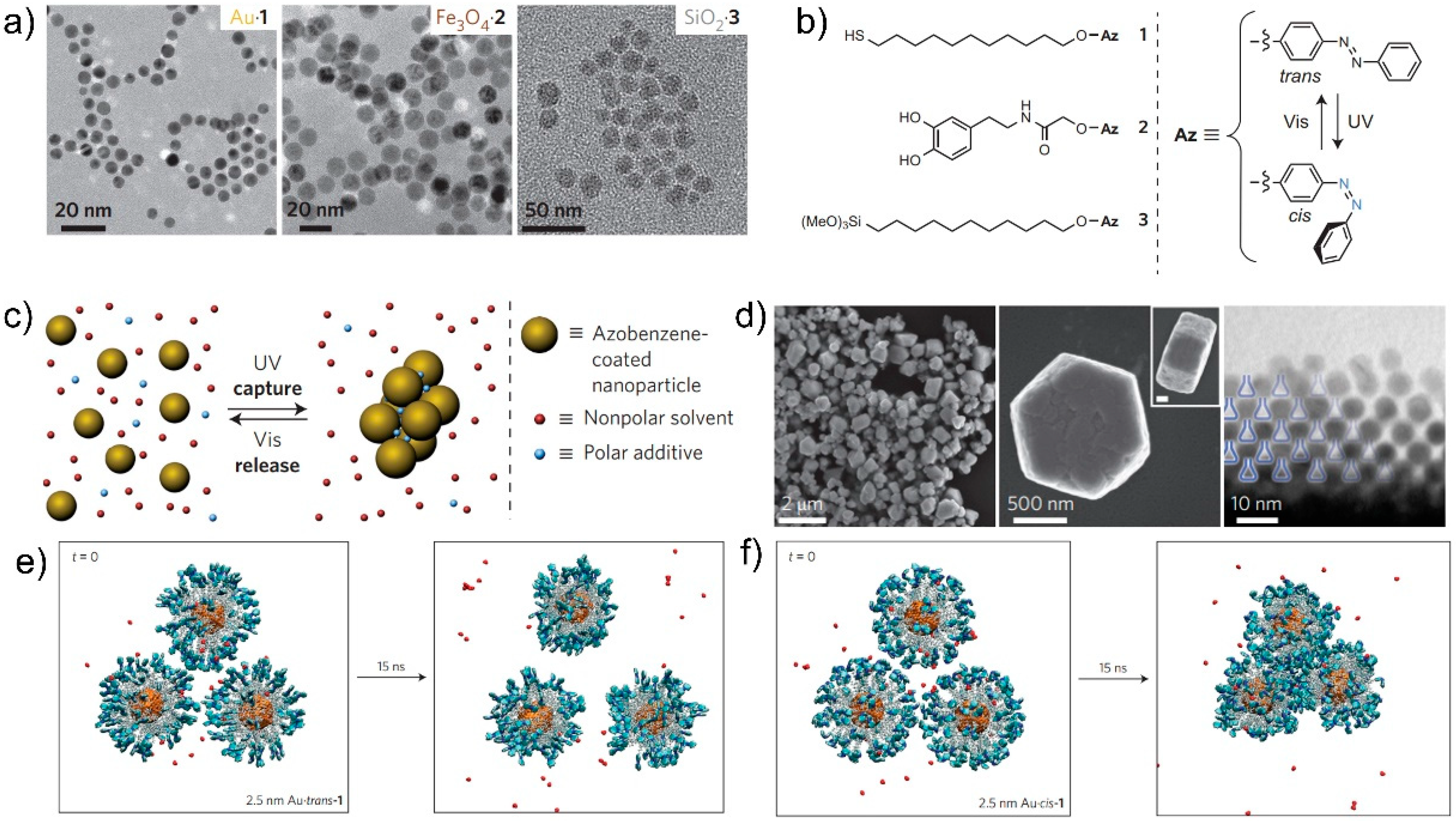 Nanomaterials 13 02562 g003