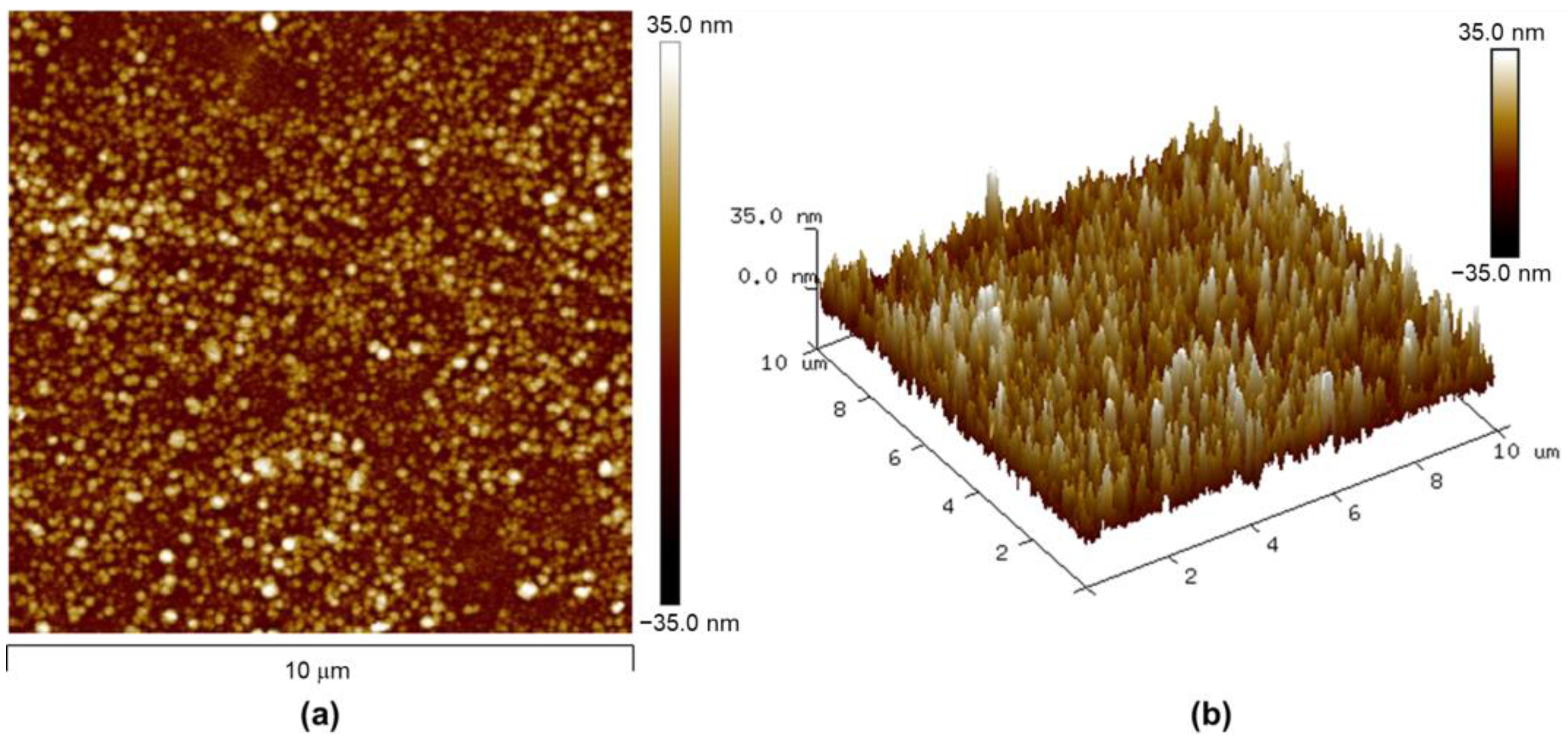 Nanomaterials 13 02563 g005