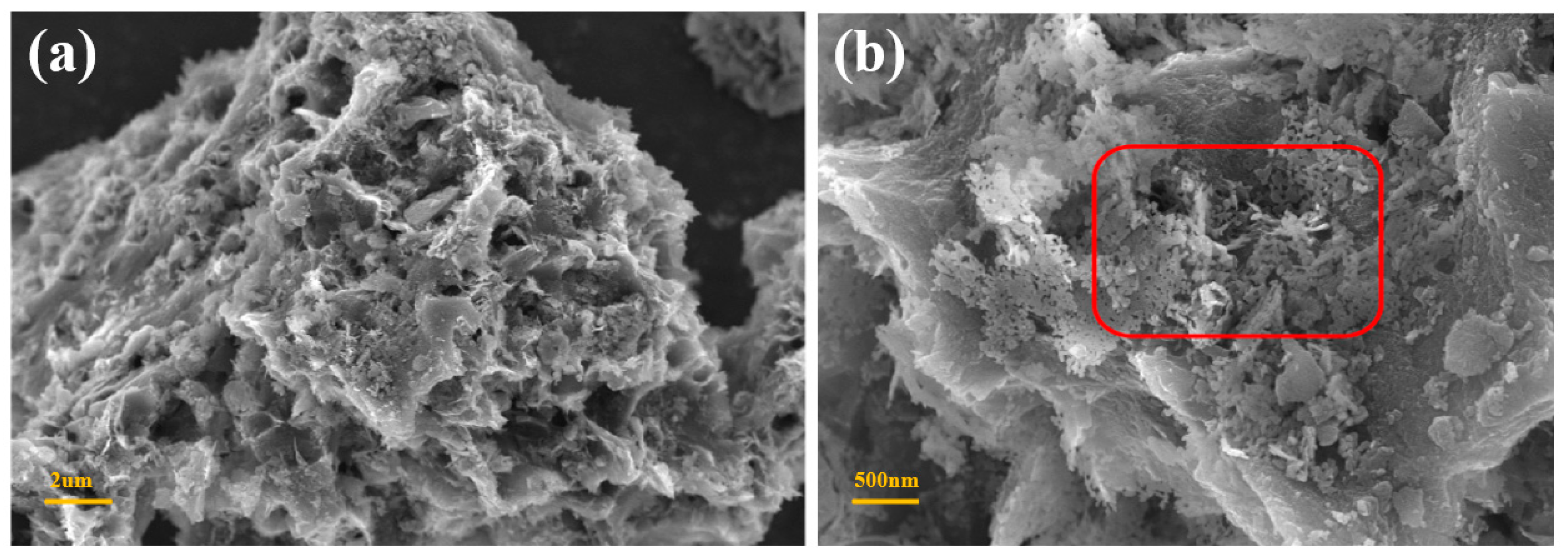 Nanomaterials 13 02564 g001