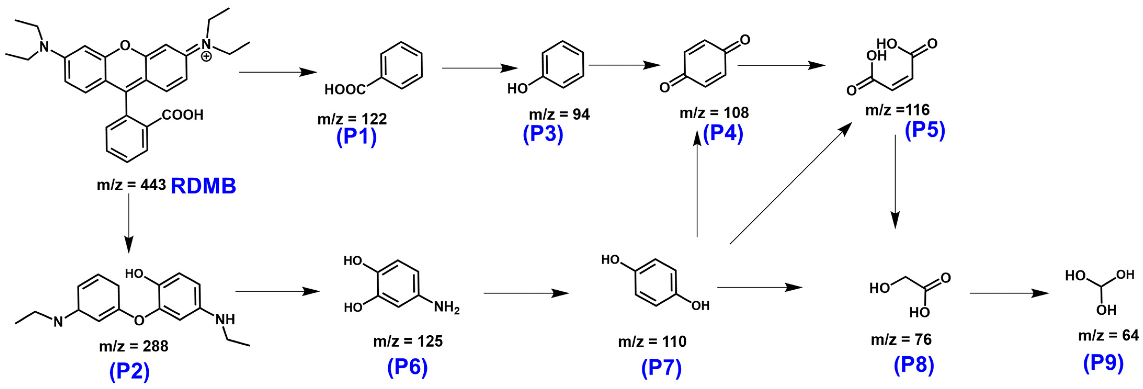 Nanomaterials 13 02565 g011