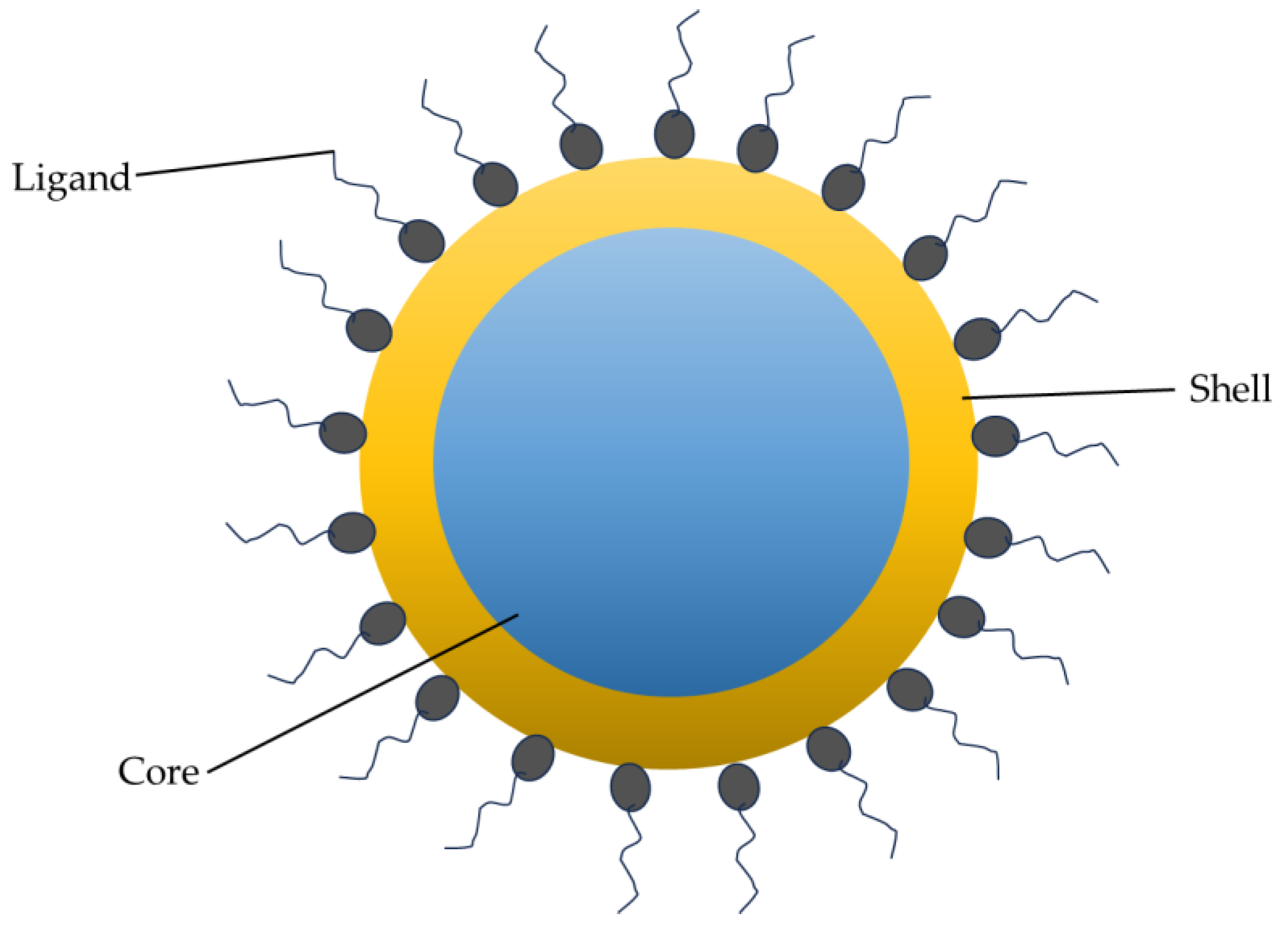 Nanomaterials 13 02566 g001