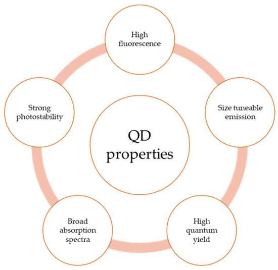 Recent Breakthroughs in Using Quantum Dots for Cancer Imaging and Drug ...