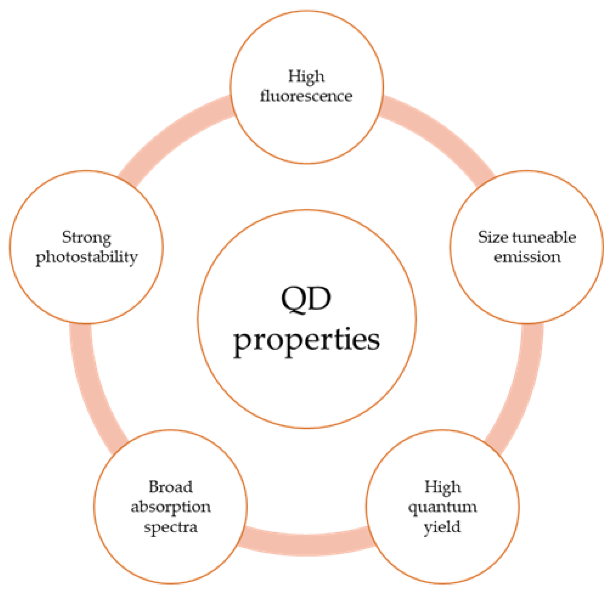Nanomaterials 13 02566 g002