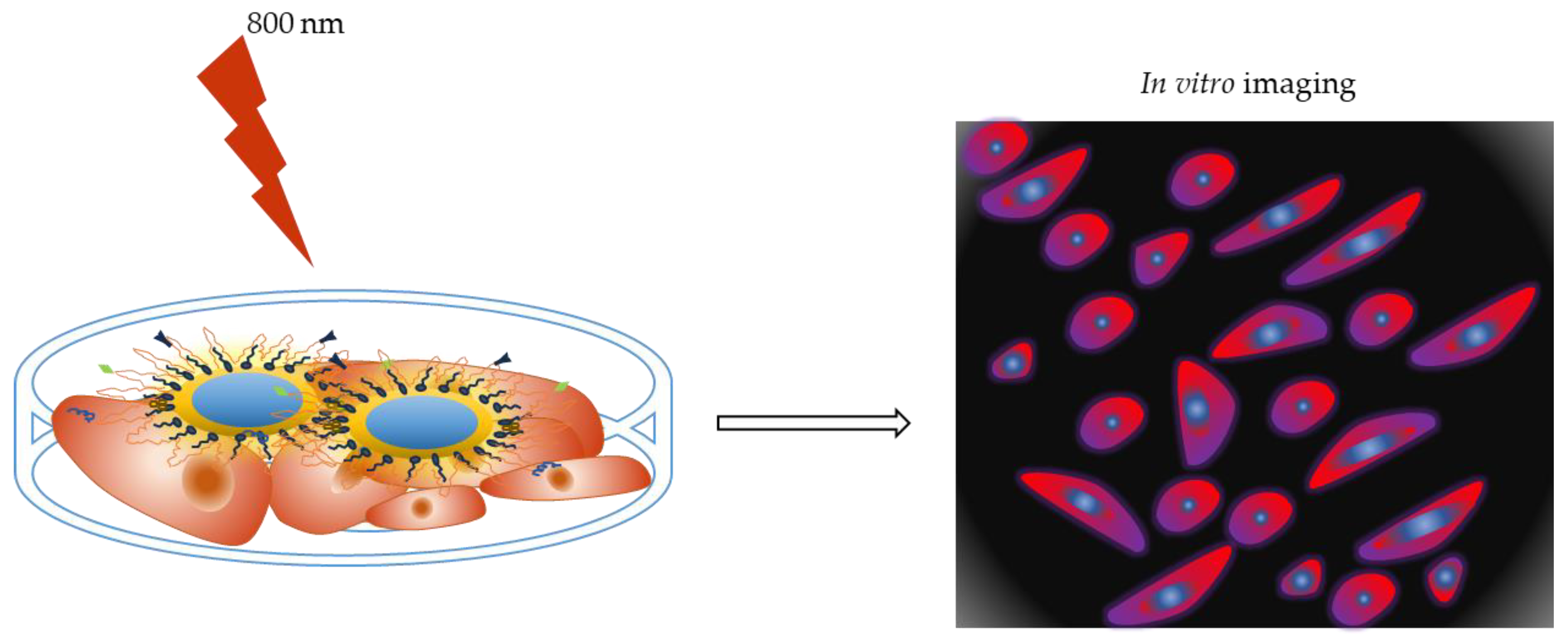 Nanomaterials 13 02566 g004