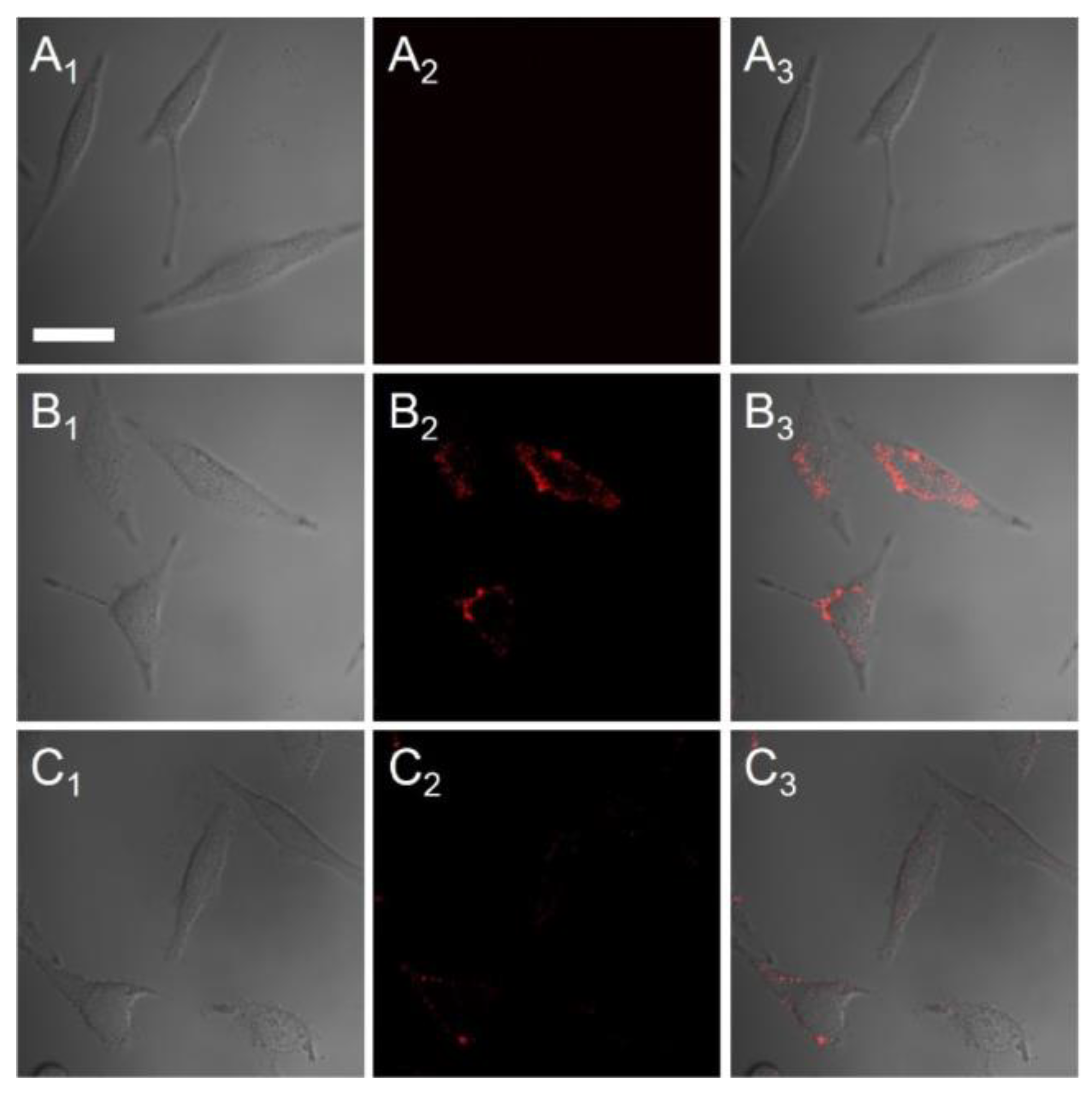 Nanomaterials 13 02566 g005