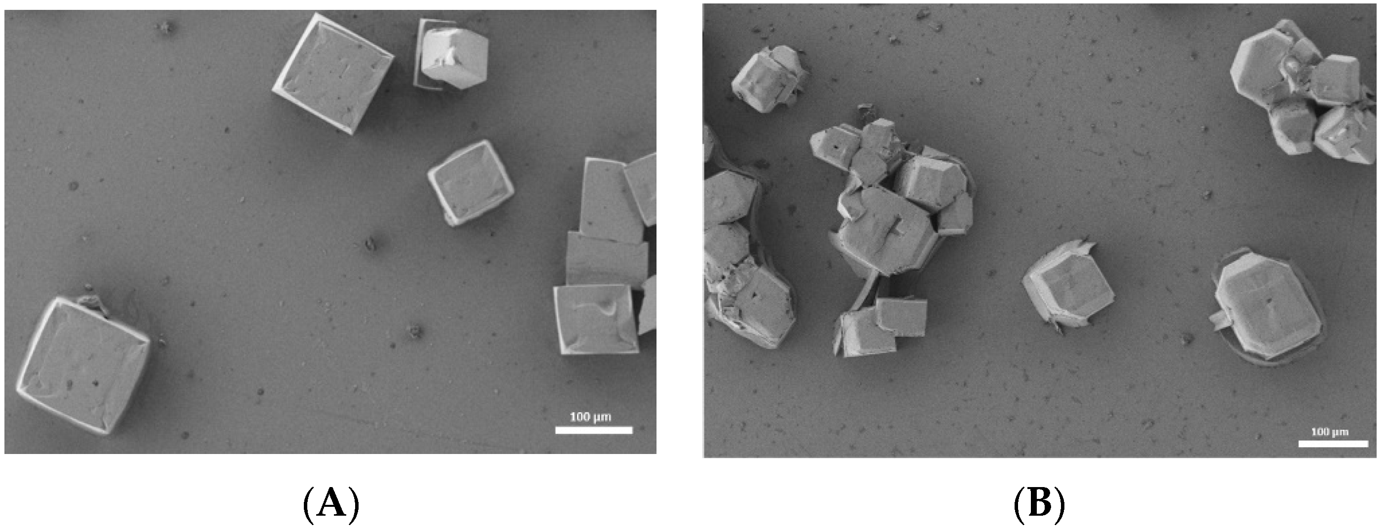 Nanomaterials 13 02570 g003