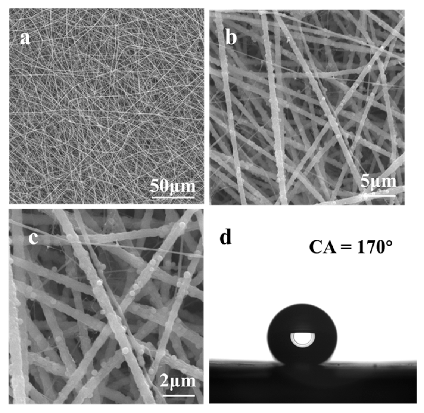 Nanomaterials 13 02574 g002