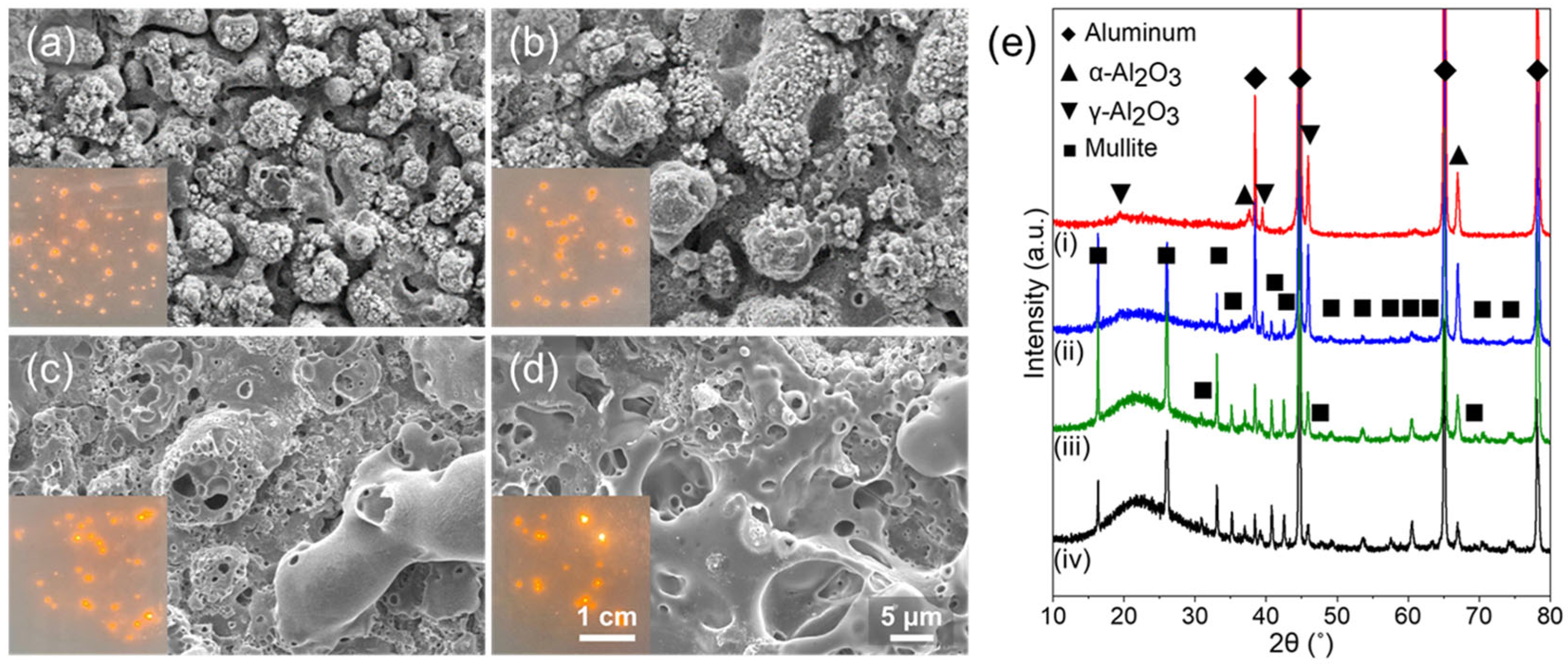 Nanomaterials 13 02582 g001