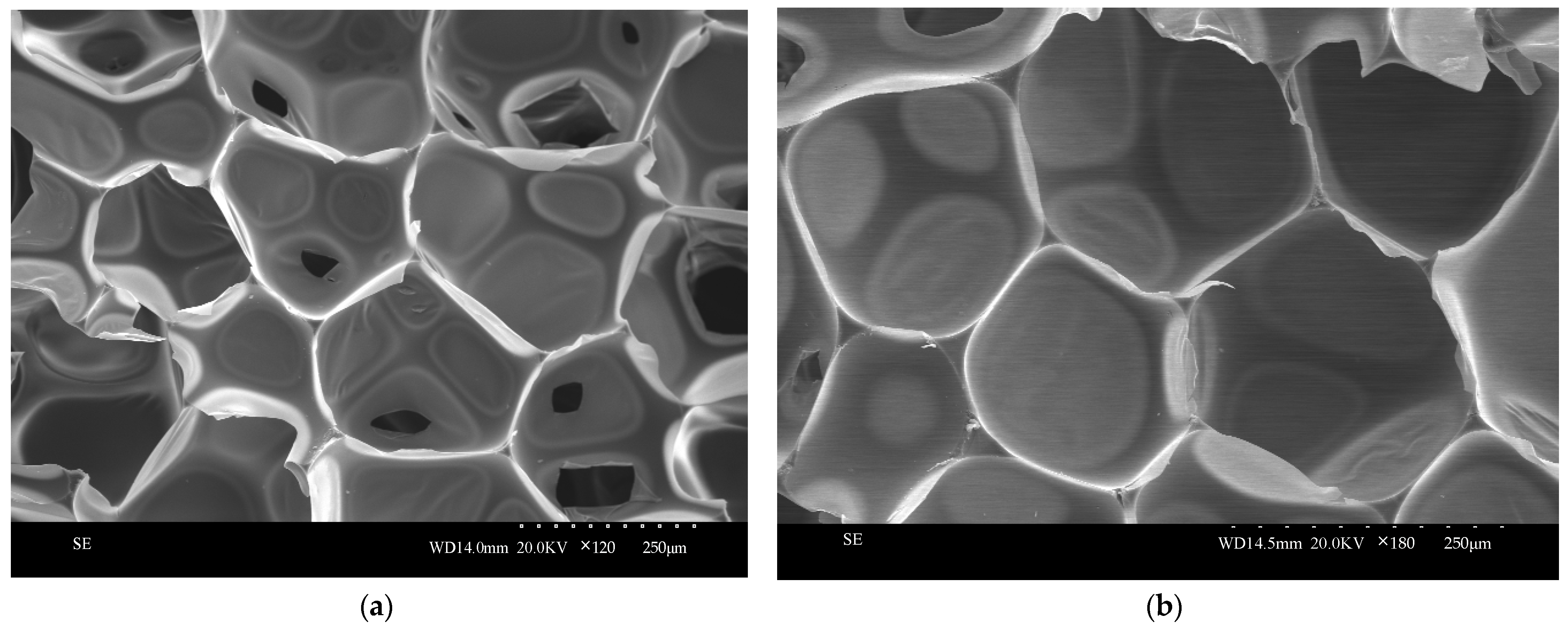 Nanomaterials 13 02583 g014