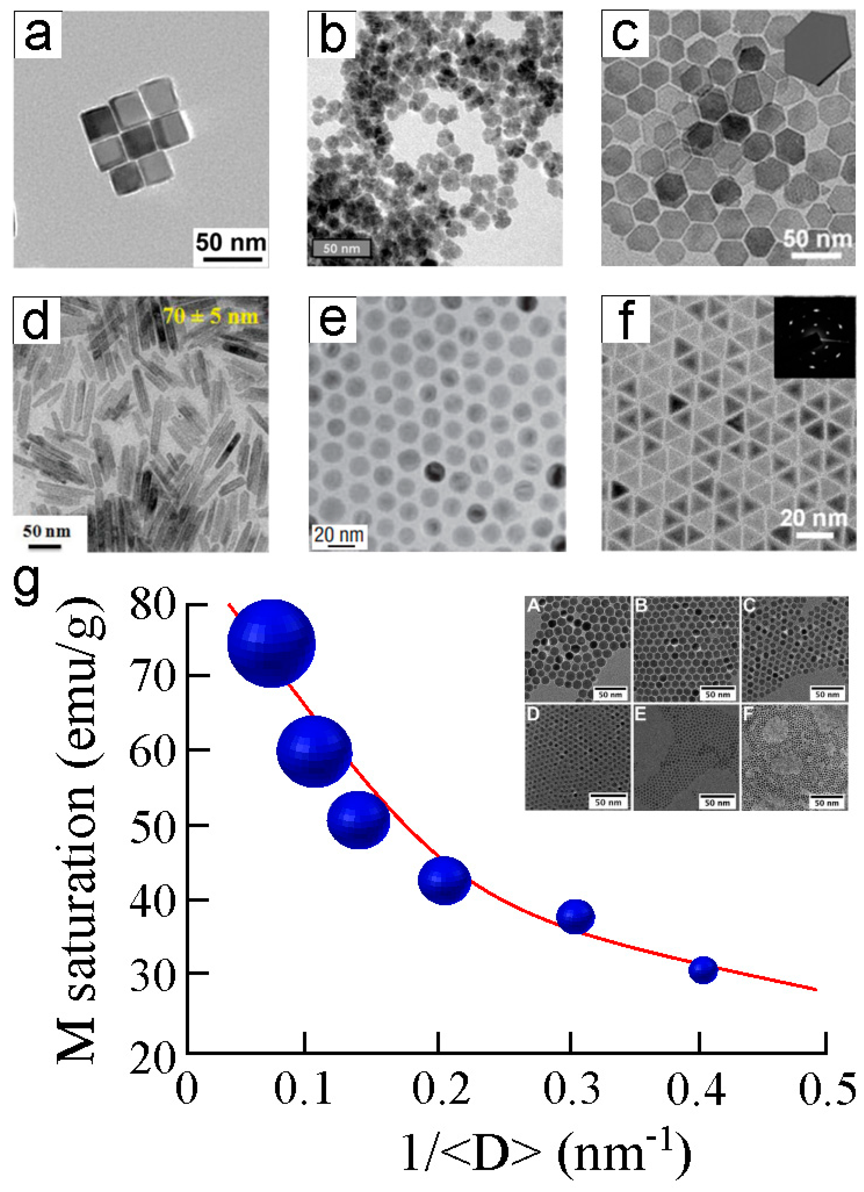 Paper image for A Review of the Current State of Magnetic Force Microscopy to Unravel the Magnetic Properties of Nanomaterials Applied in Biological Systems and Future Directions for Quantum Technologies