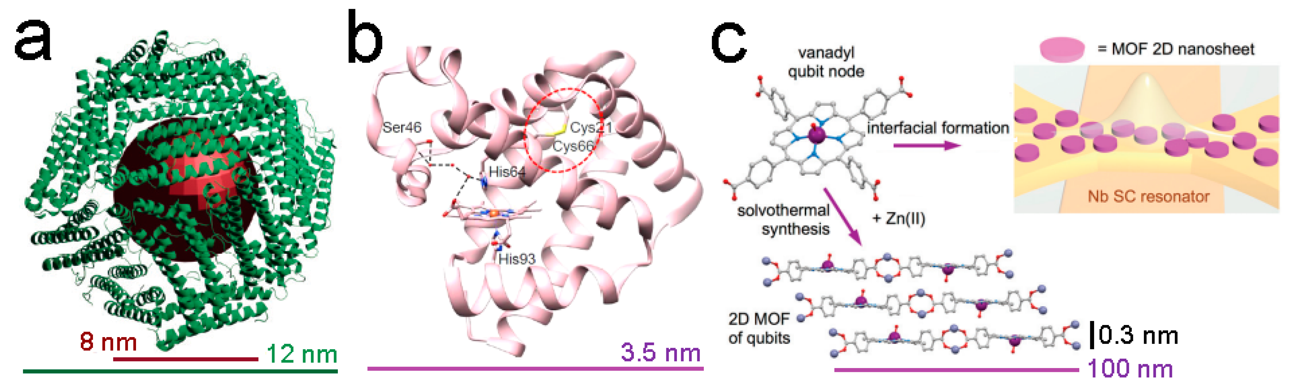 Nanomaterials 13 02585 g005