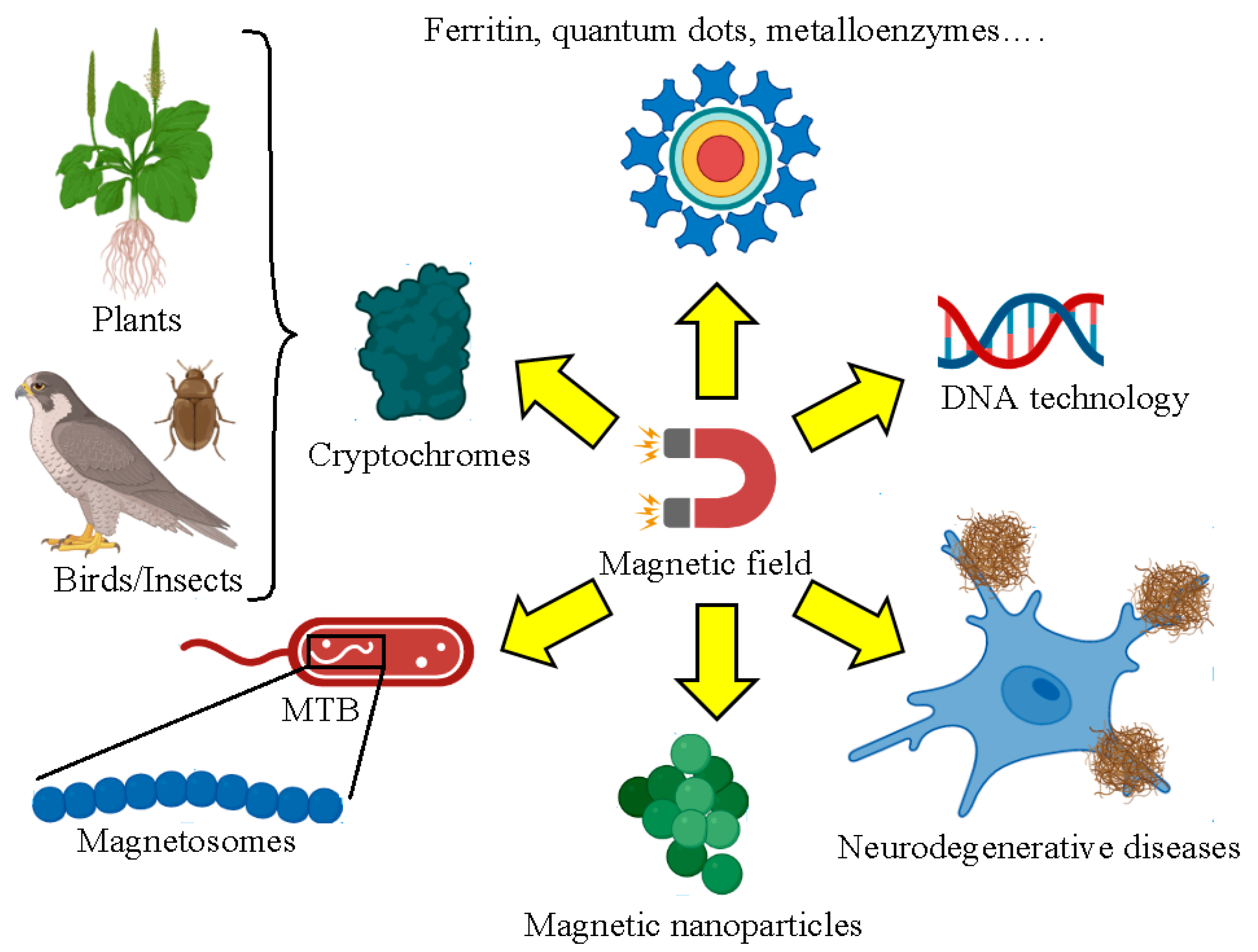 Nanomaterials 13 02585 g006