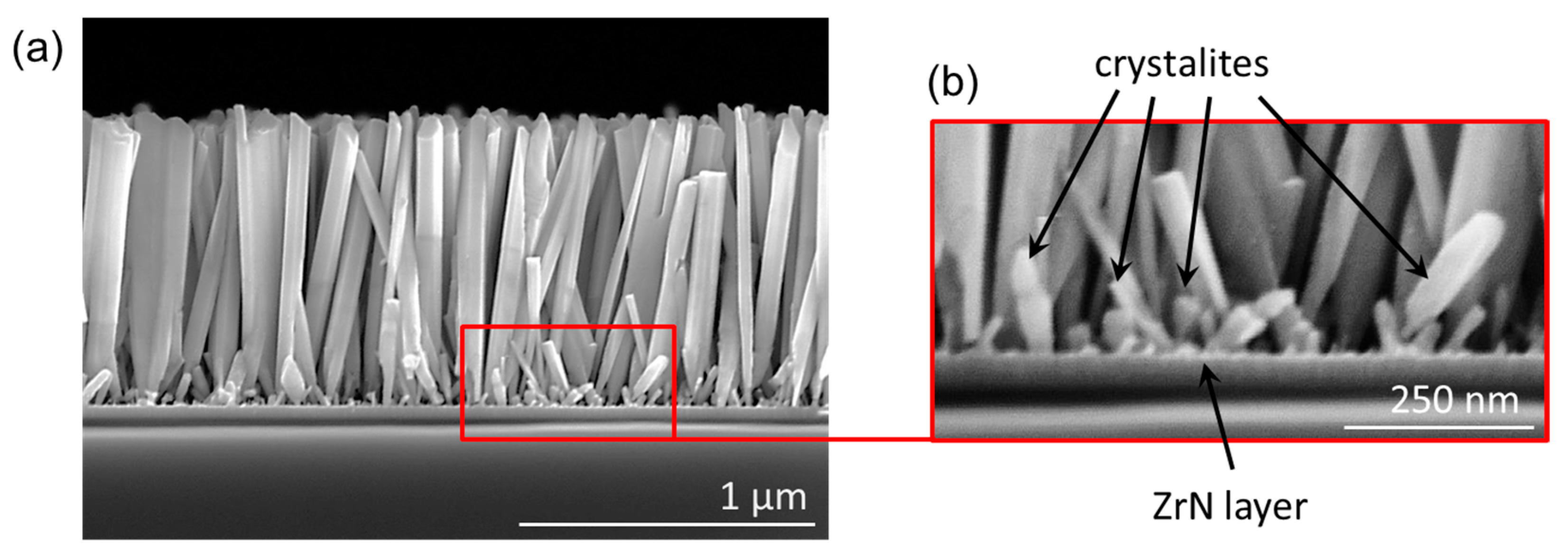 Nanomaterials 13 02587 g002 Nanomaterials 13 02587 g002